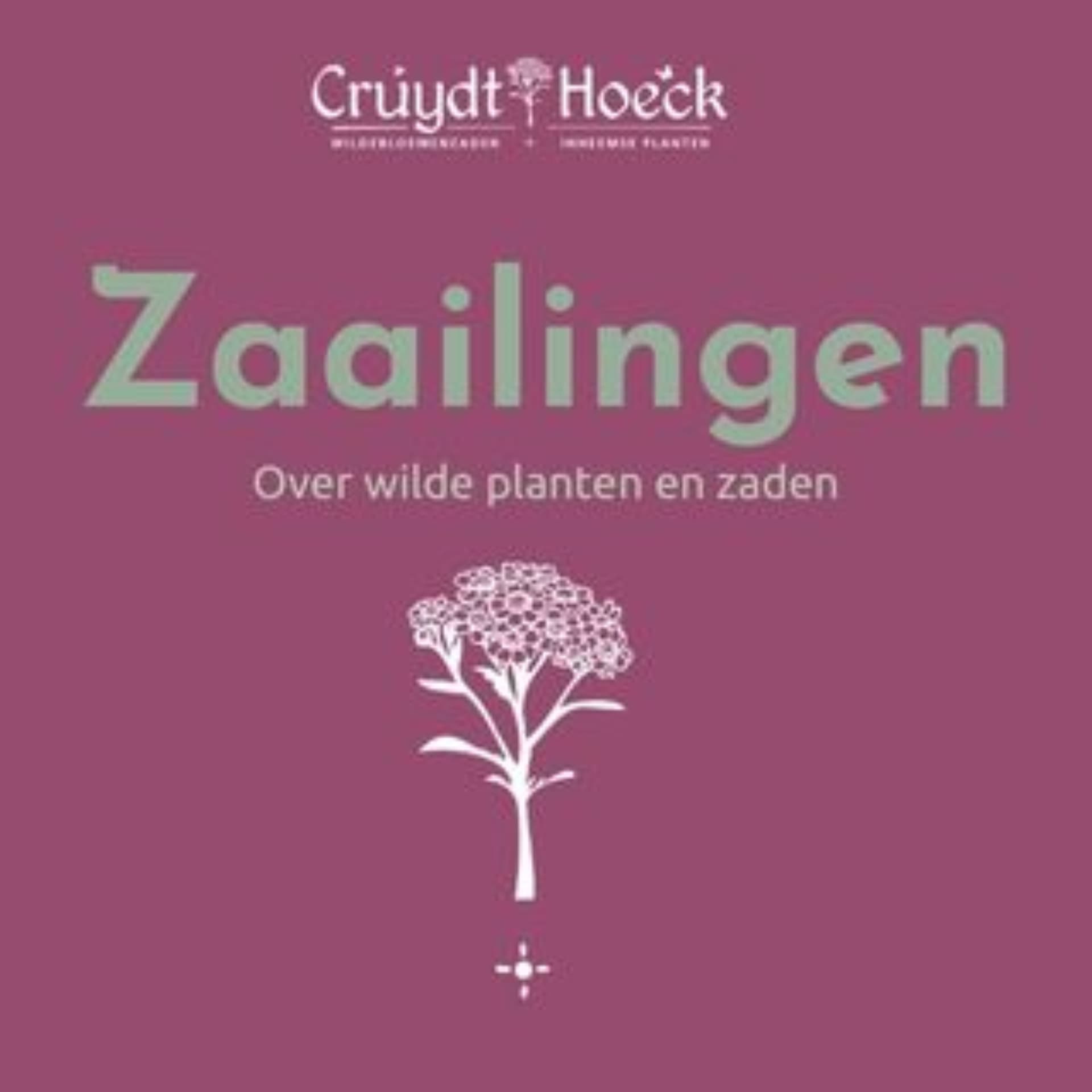 Zaailingen - Podcasts