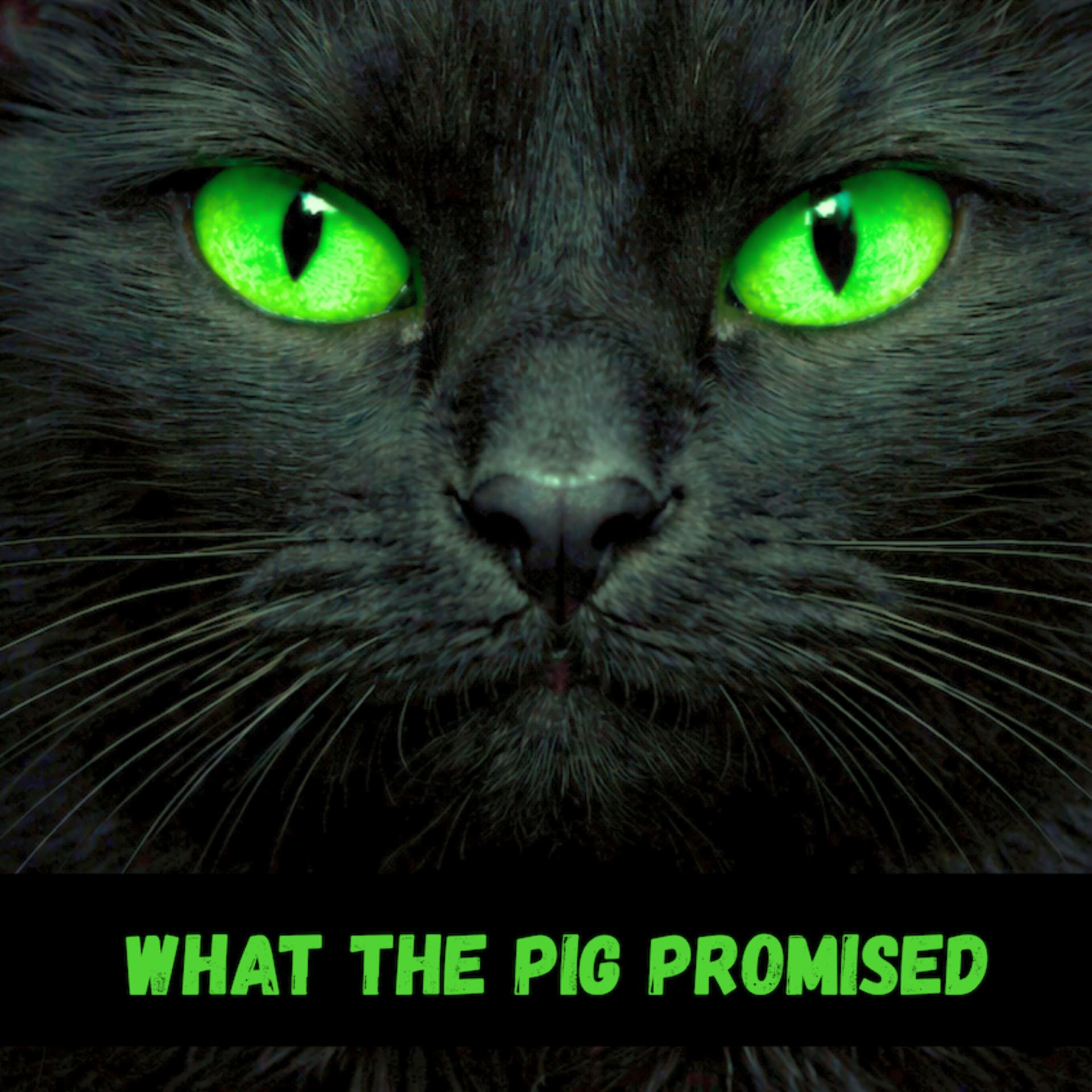What the Pig Promised - Podcasts