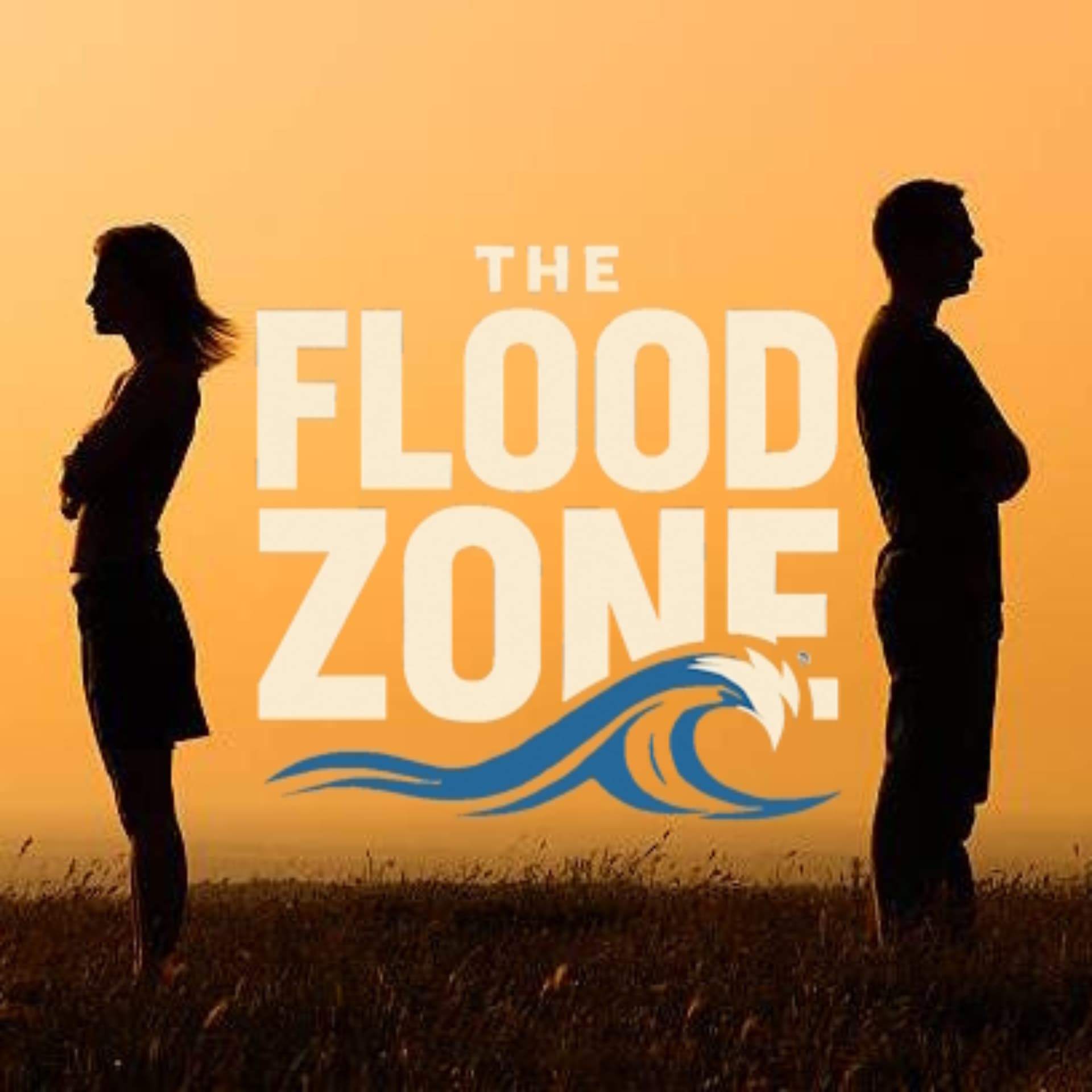 The Flood Zone - Podcasts