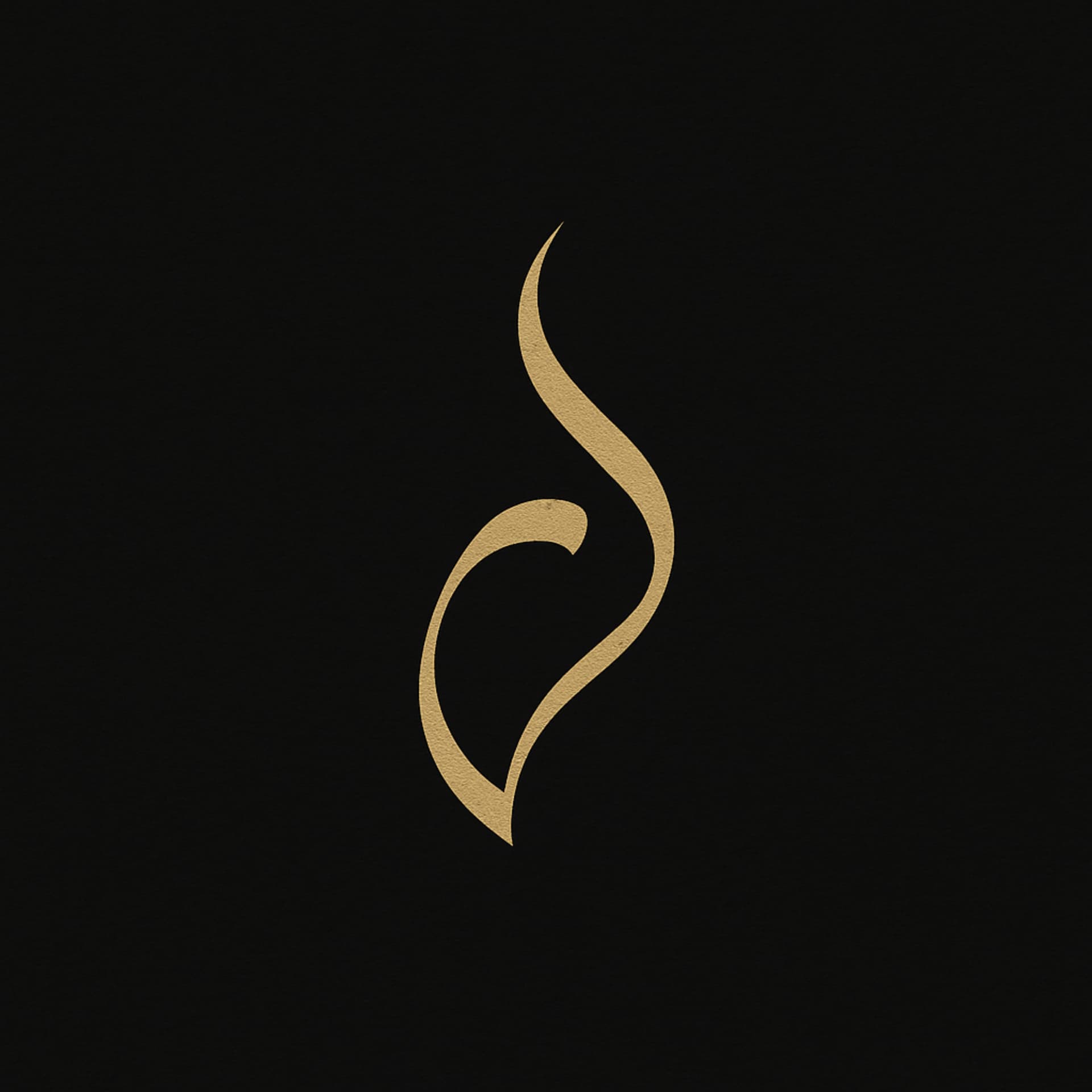 Seeking Rizq Podcast - Podcasts
