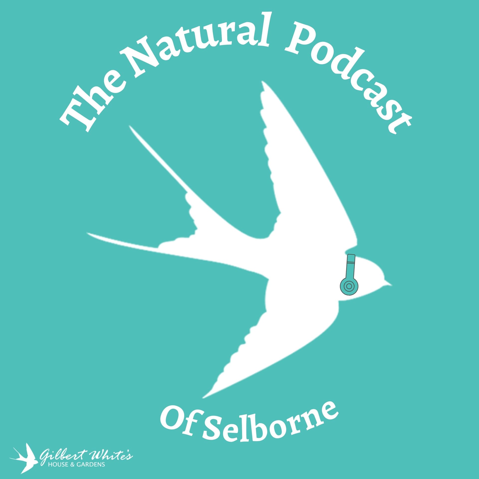 The Natural Podcast of Selborne - Podcasts