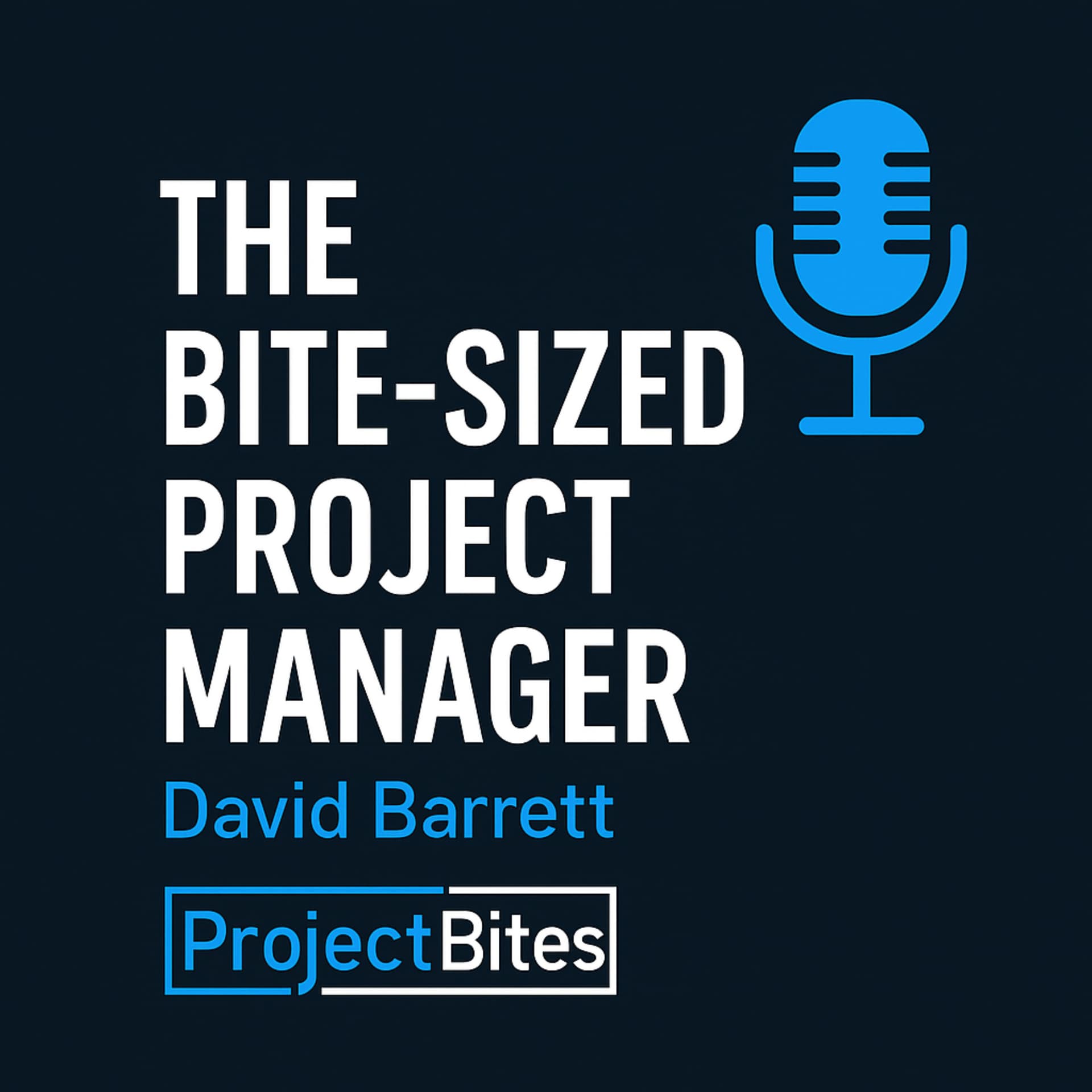 The Bite-Sized Project Manager with Host David Barrett - Podcasts