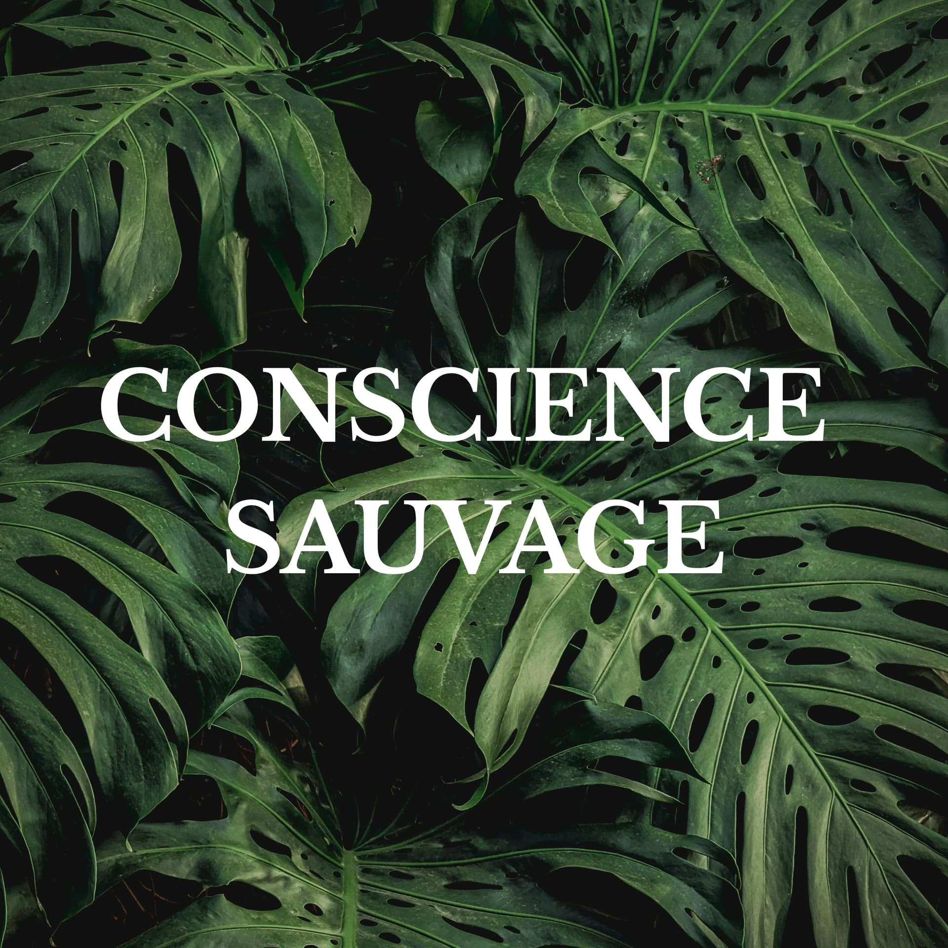 Conscience sauvage - Podcasts