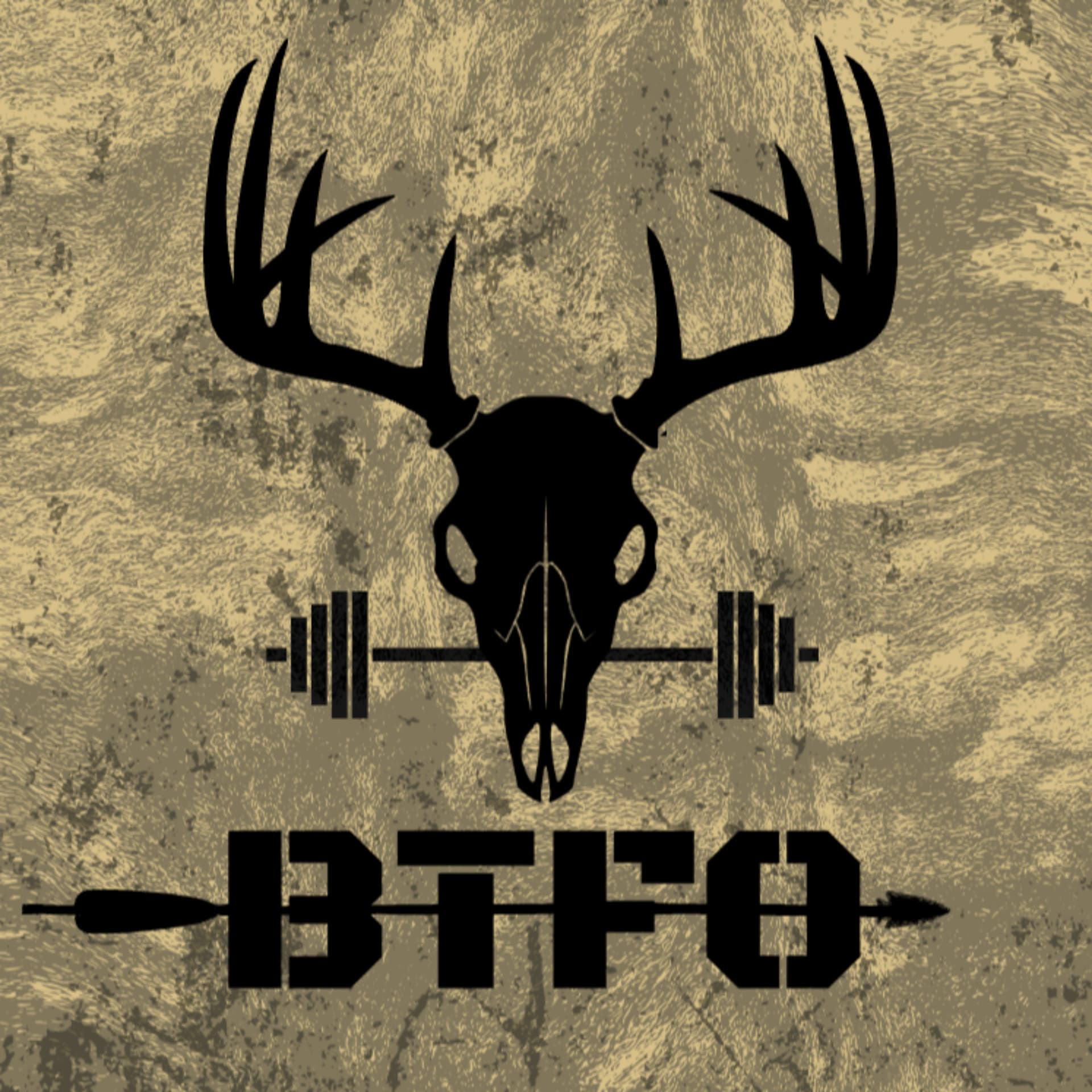 BTFO Podcast - Podcasts