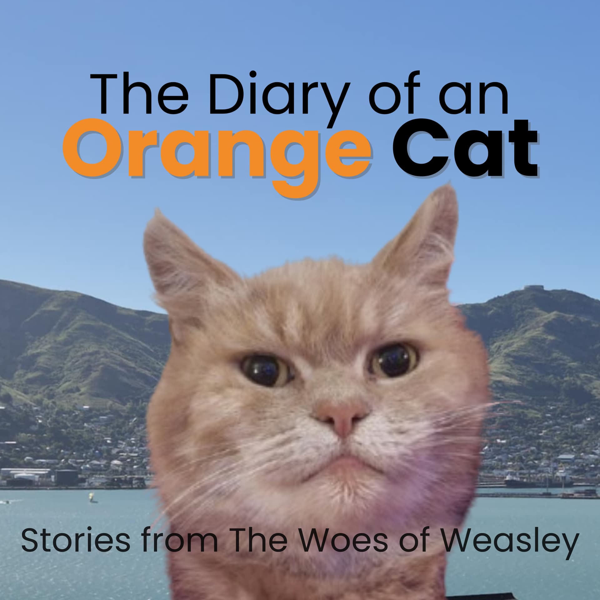 The Diary of an Orange Cat - Podcasts