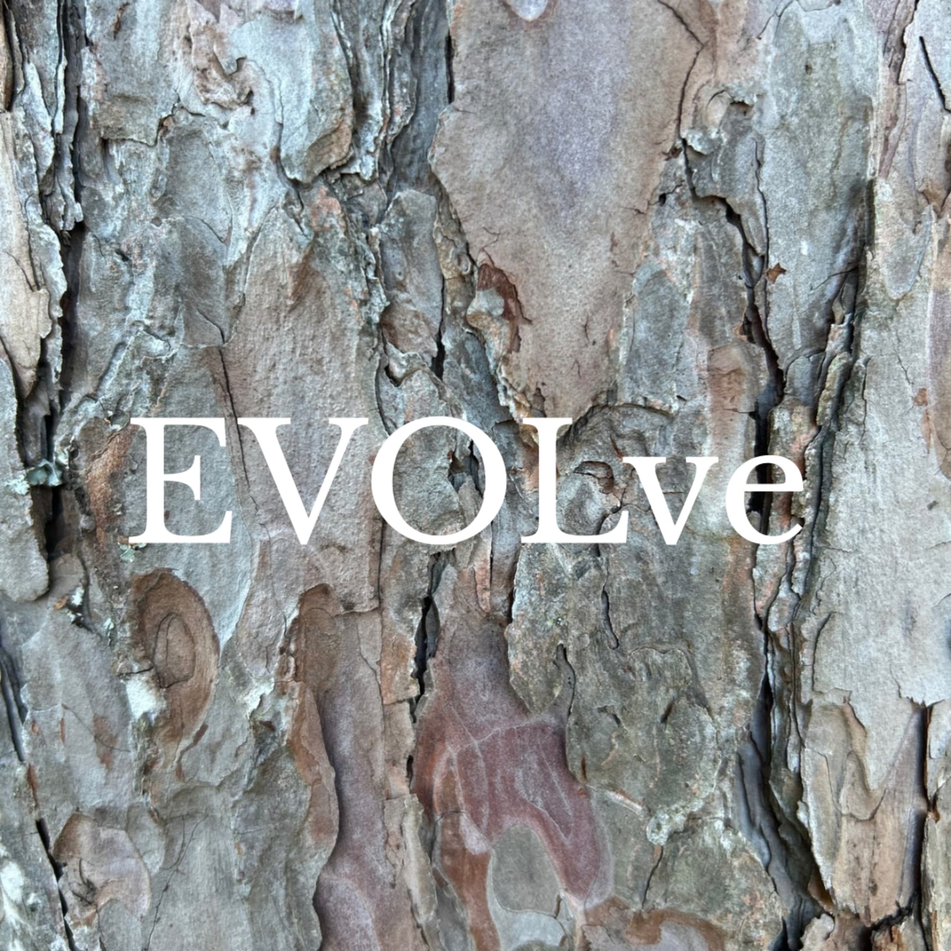 Evolve Love - Podcasts