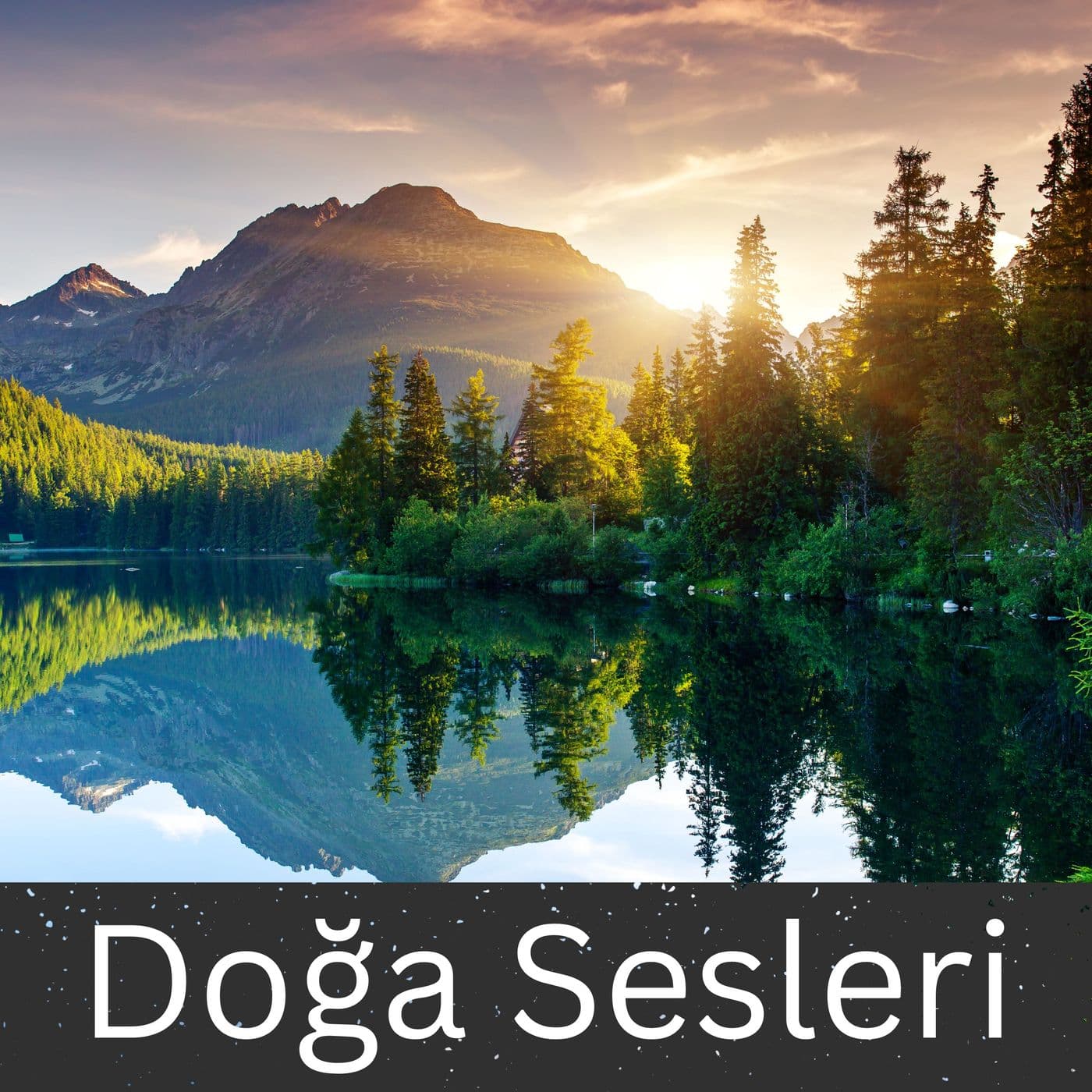 Doğa Sesleri - Podcasts