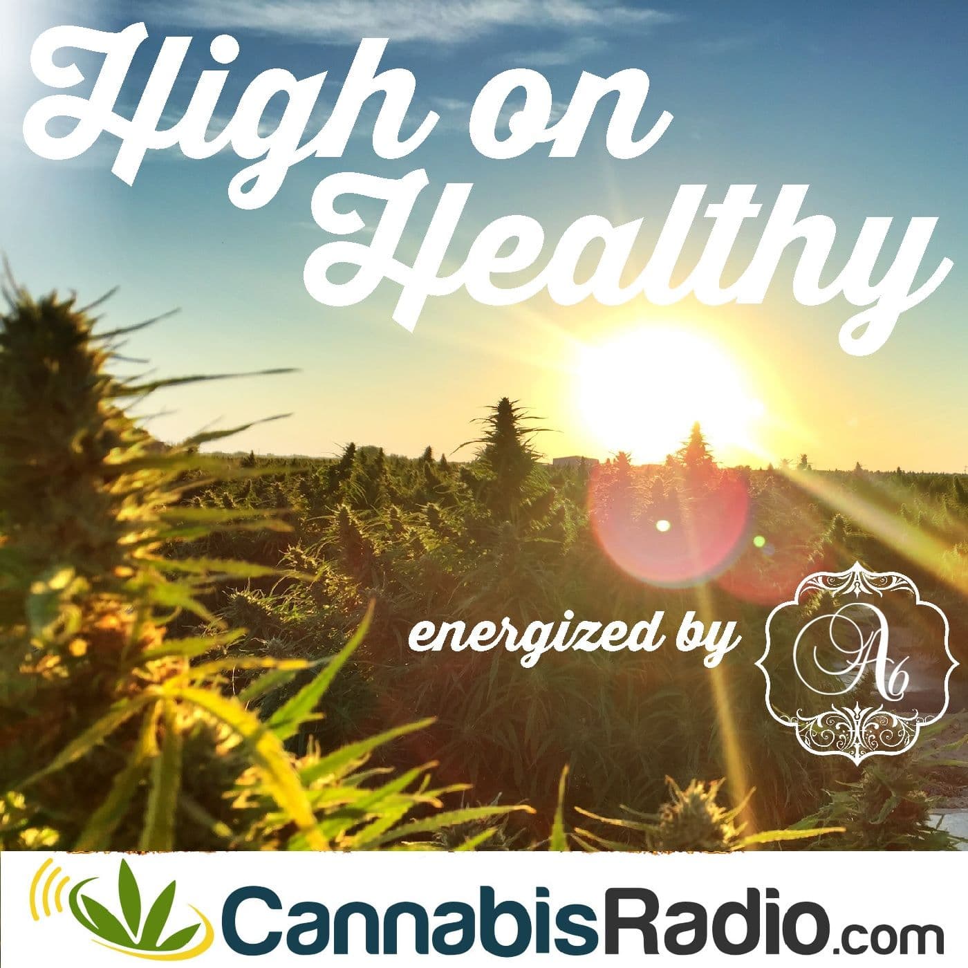 High On Healthy - Podcasts