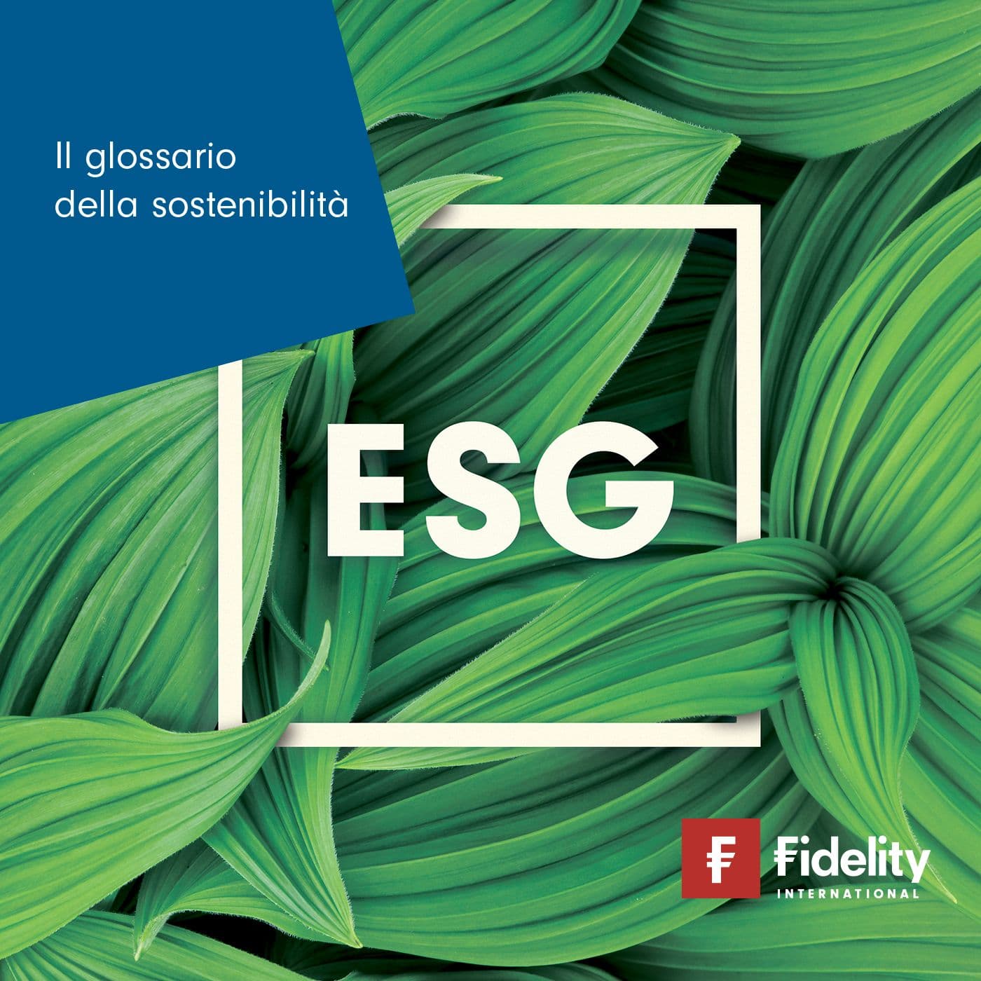 Il glossario della sostenibilità - Podcasts