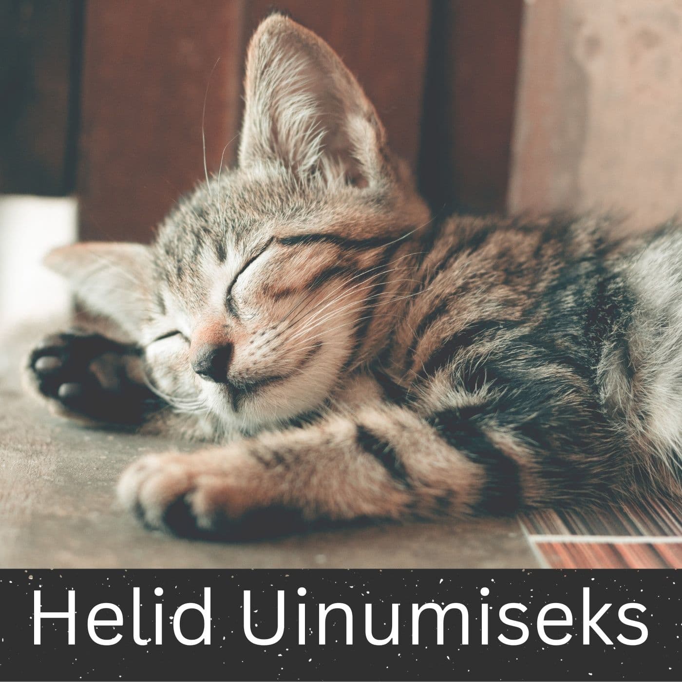 Helid Uinumiseks - Podcasts