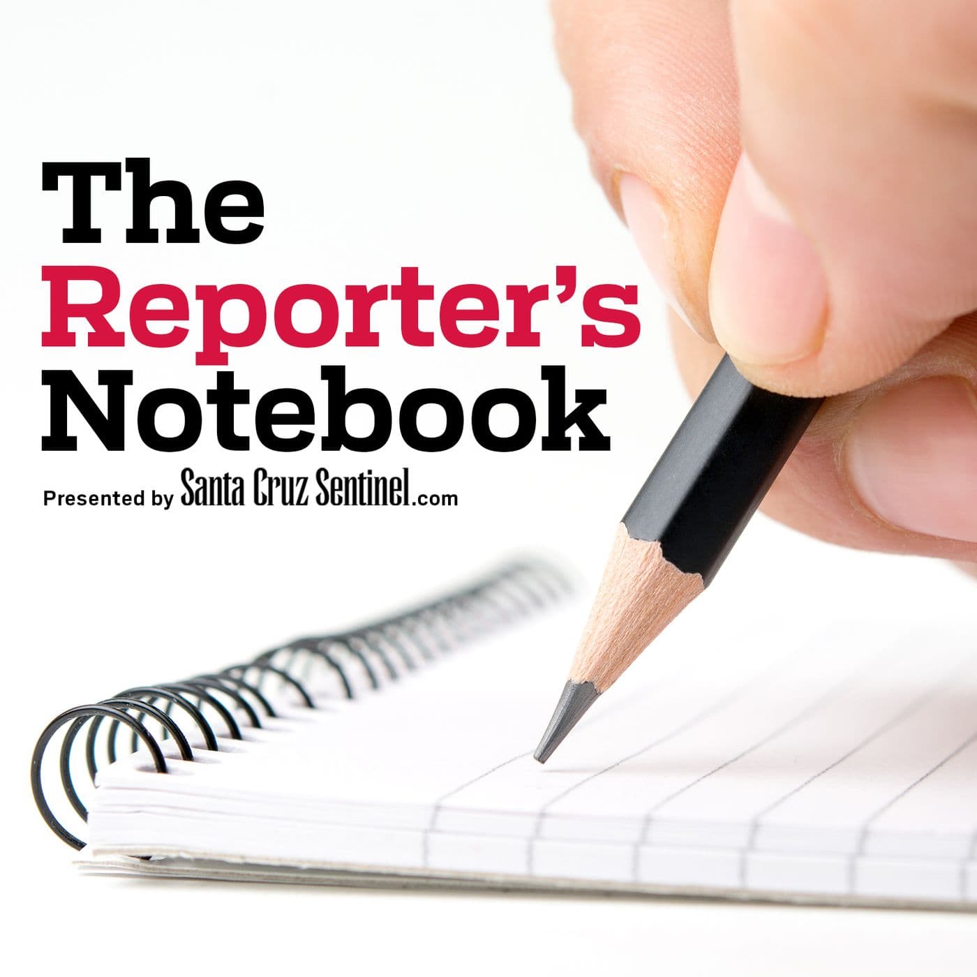 The Reporter's Notebook - Podcasts