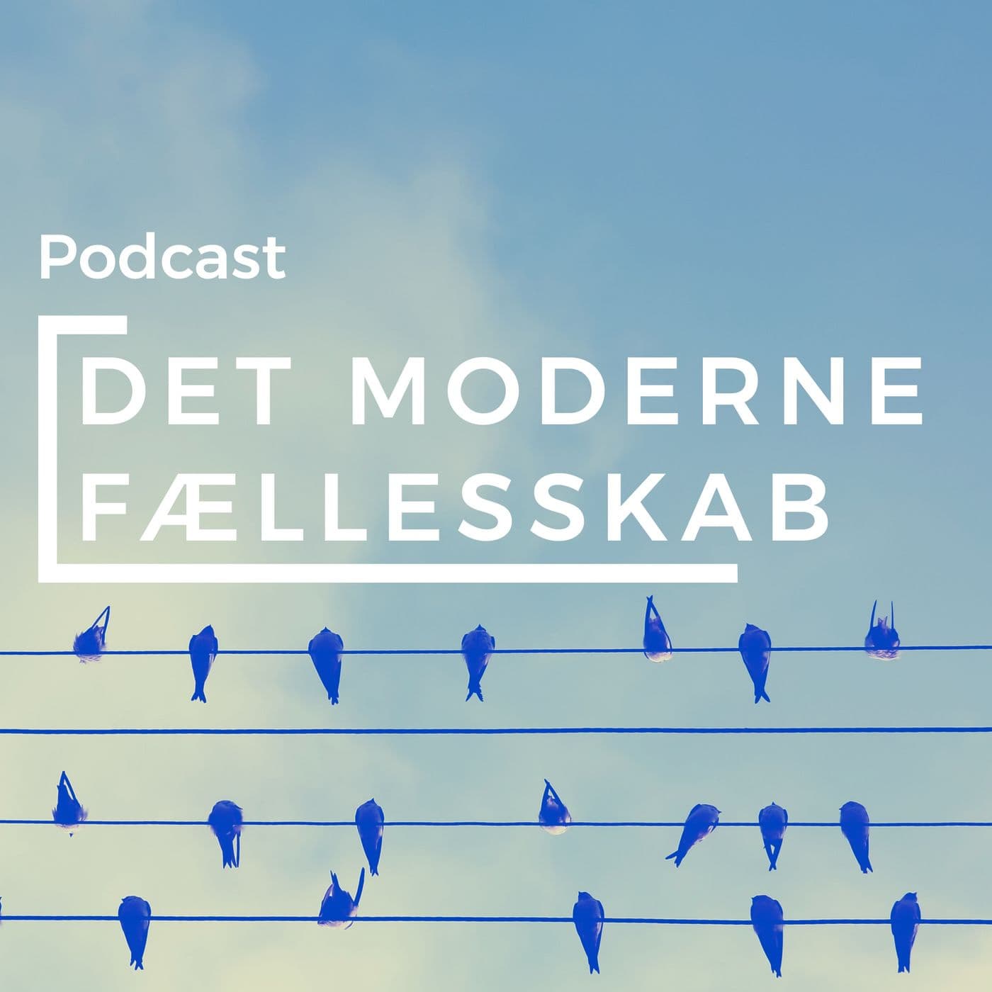 Det moderne fællesskab - Podcasts
