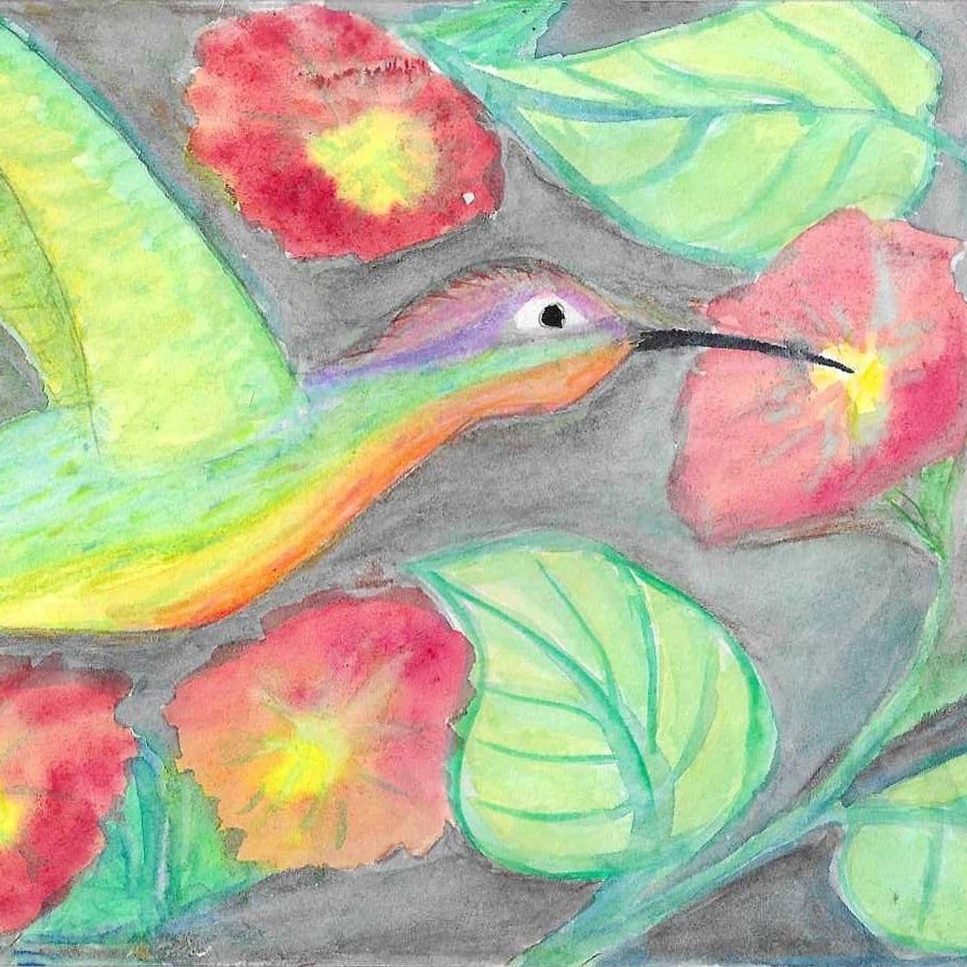 COLORI E LUCI - Podcasts