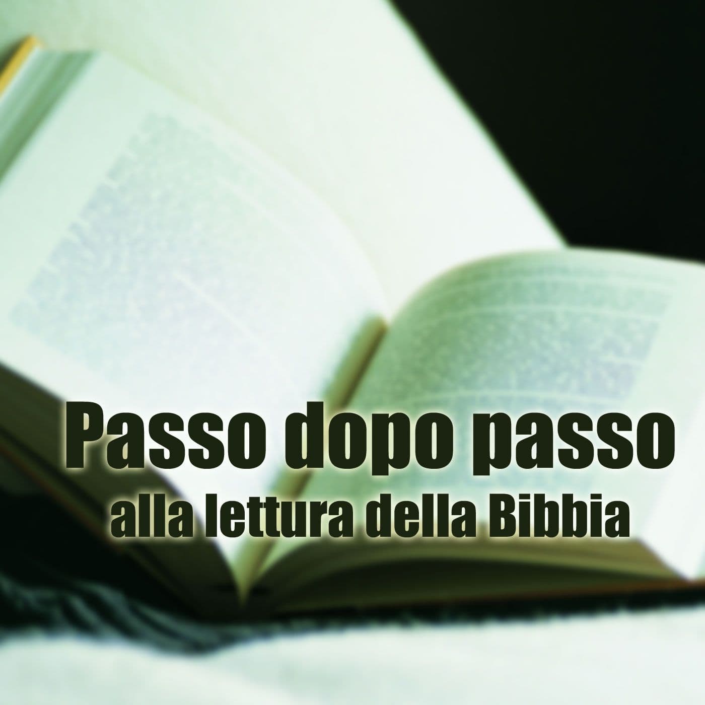 Passo dopo passo alla lettura della Bibbia - Podcasts