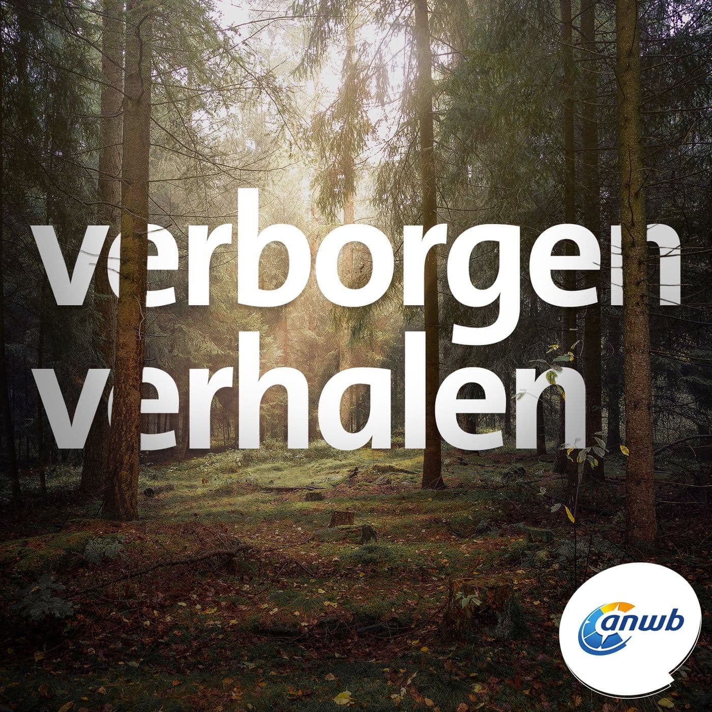 Verborgen Verhalen - Podcasts