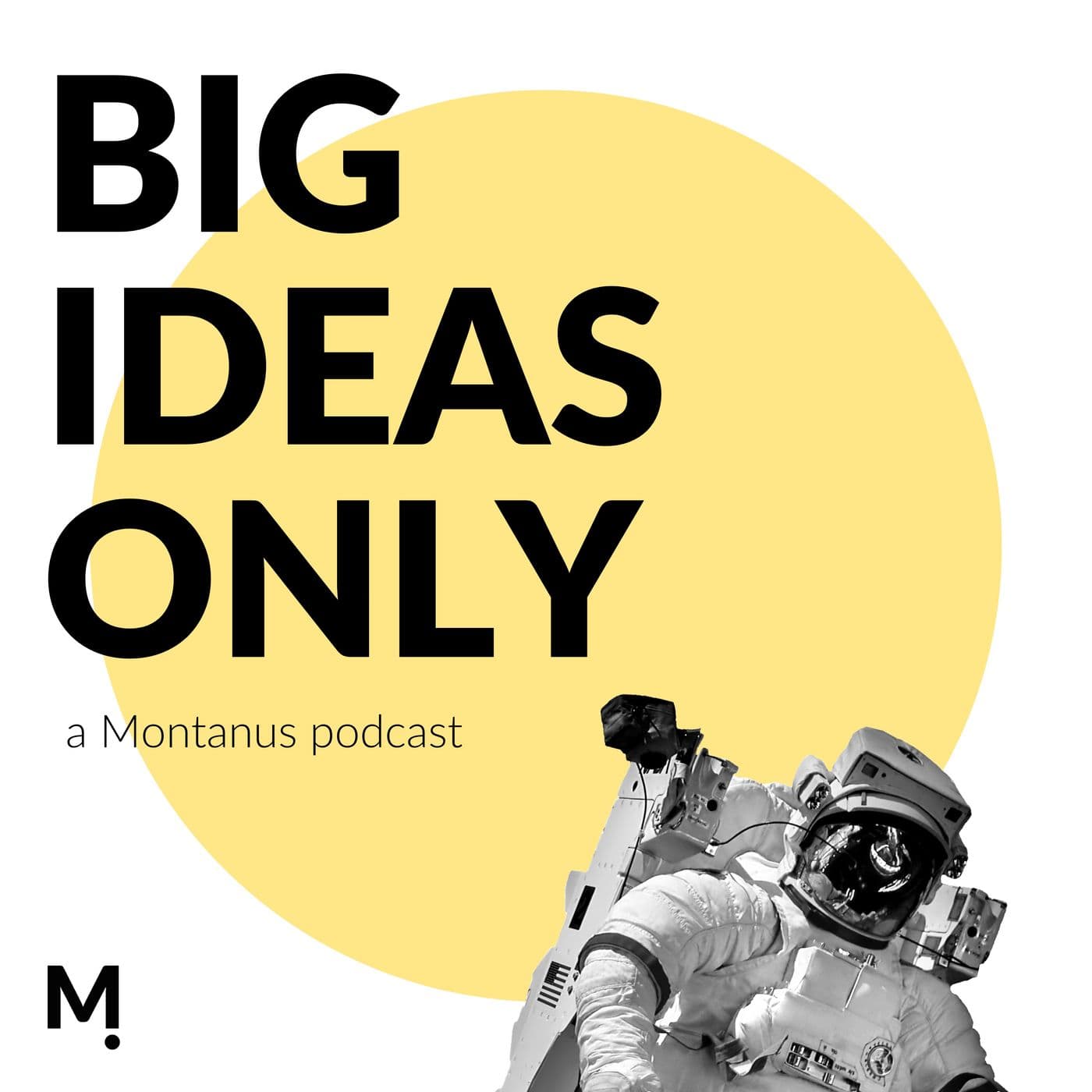 Big Ideas Only - Podcasts