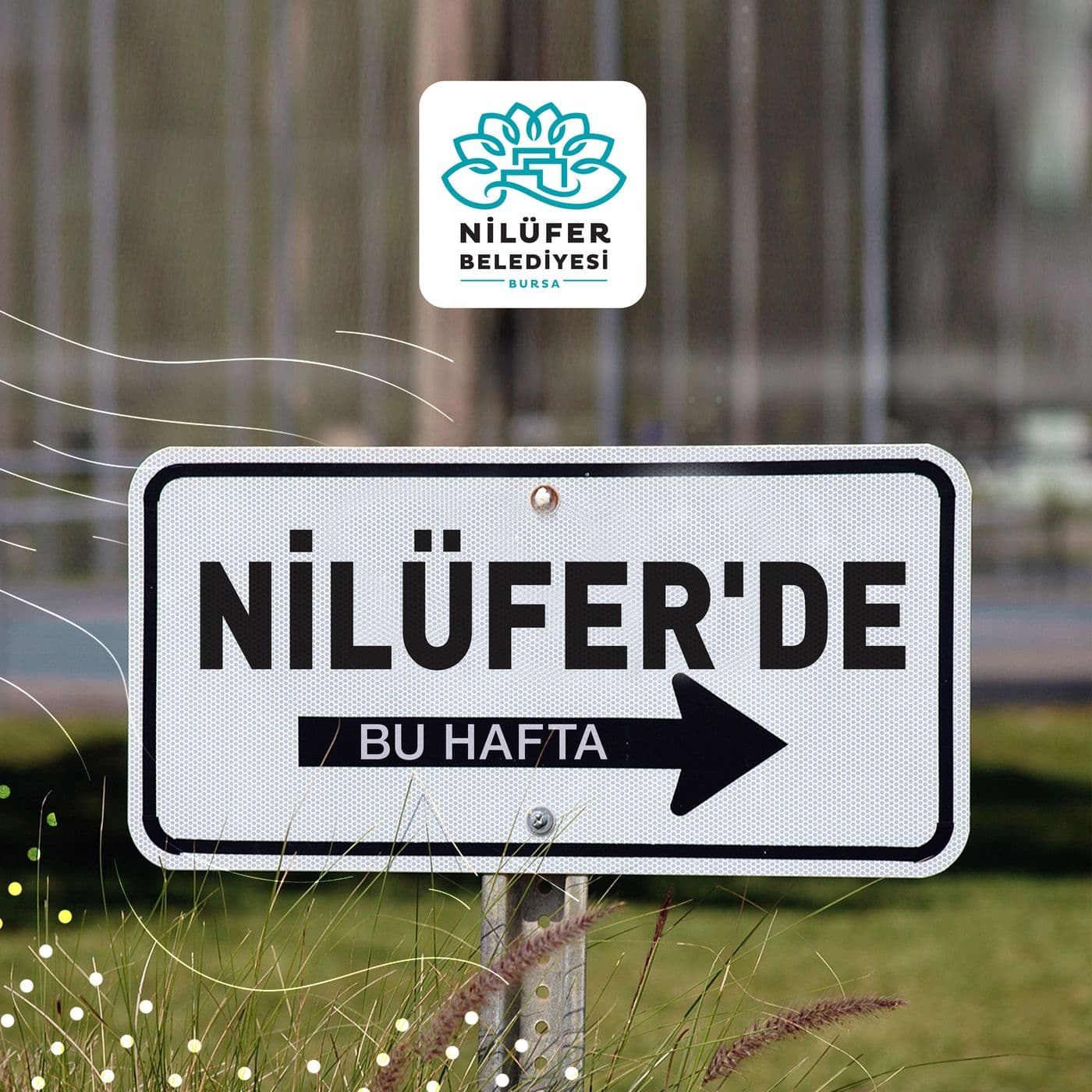 Nilüfer'de Bu Hafta - Podcasts