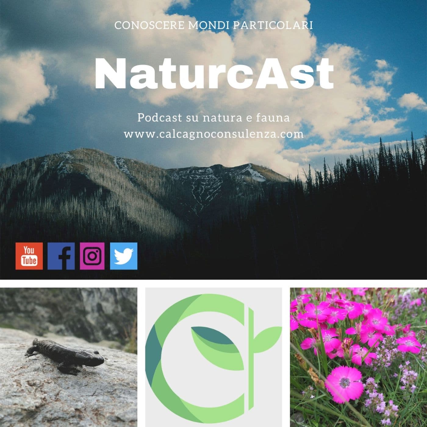 NaturcAst - Podcasts