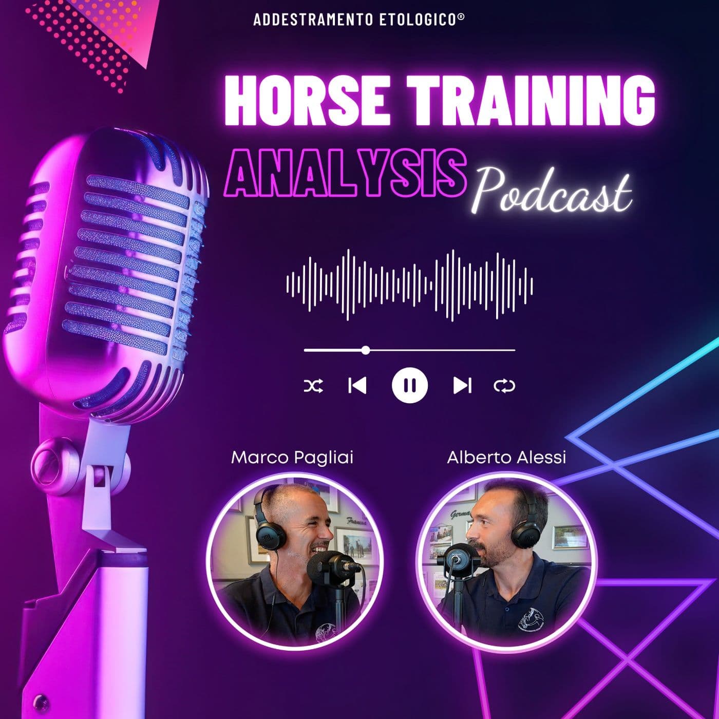 Horse Training Analysis - Podcasts