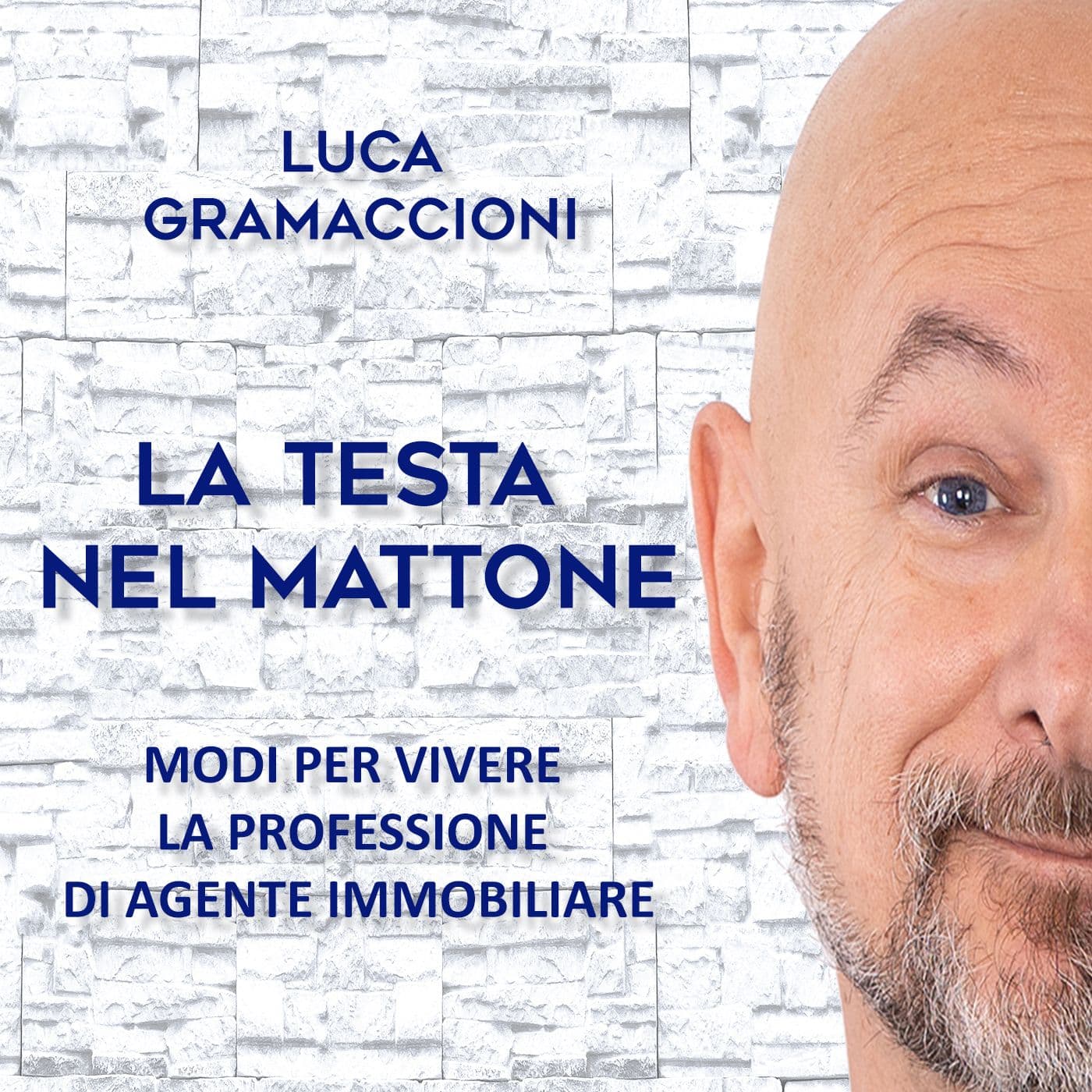 LA TESTA NEL MATTONE - Podcasts