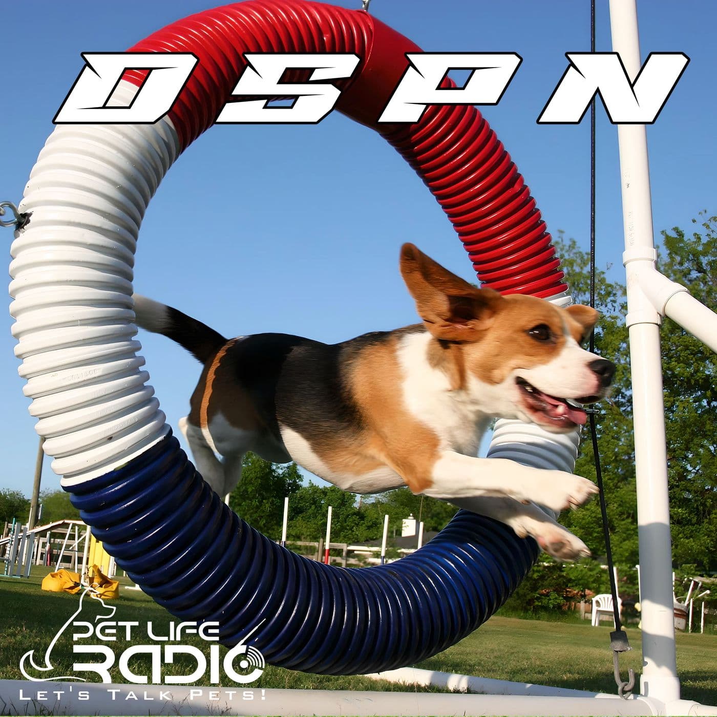 DSPN - The Dog Sports & Performance Network - Pet Life Radio Original - Podcasts