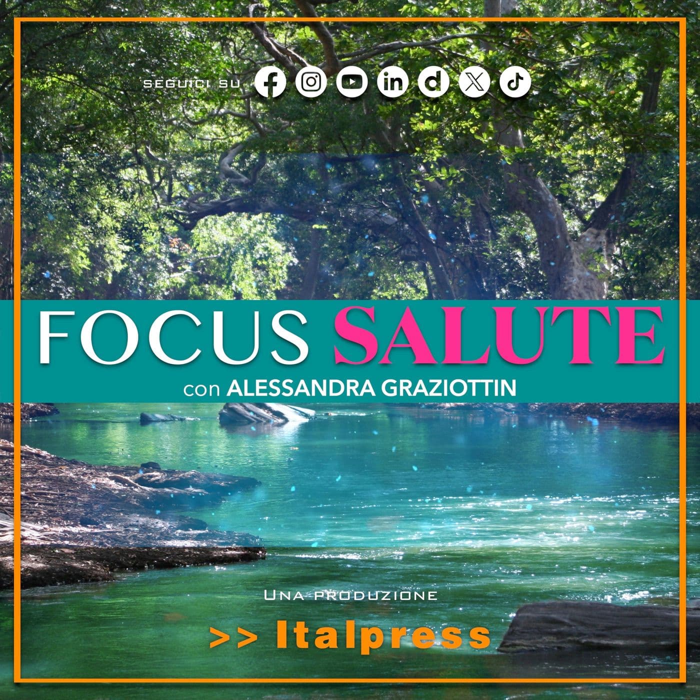 Focus Salute - Podcasts