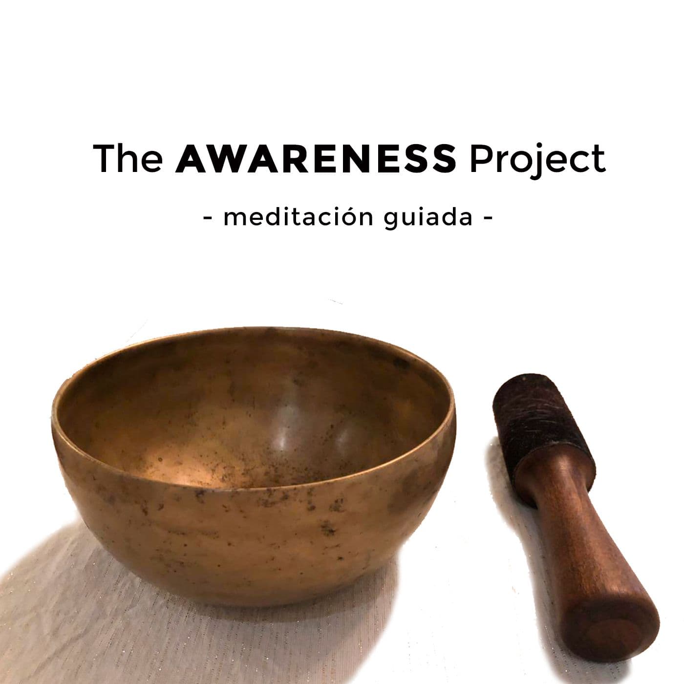 The Awareness Project - Podcasts