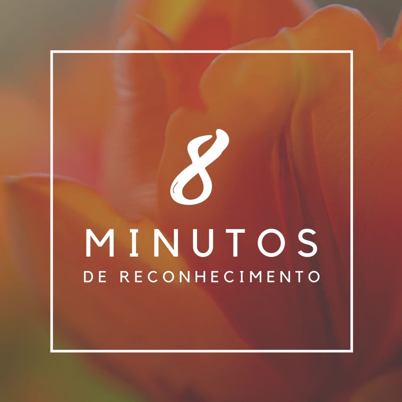 8 Minutos de Reconhecimento - Podcasts