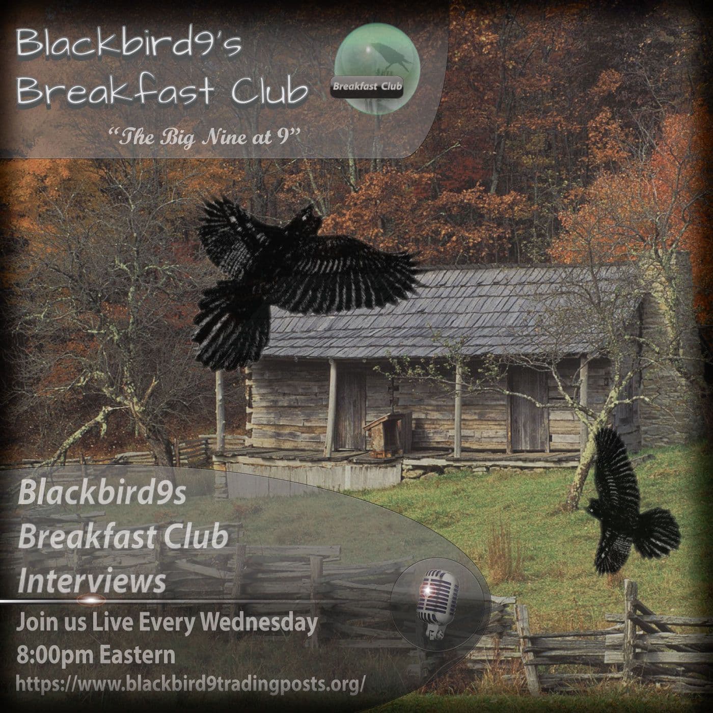 Blackbird9's Breakfast Club Interviews - Podcasts