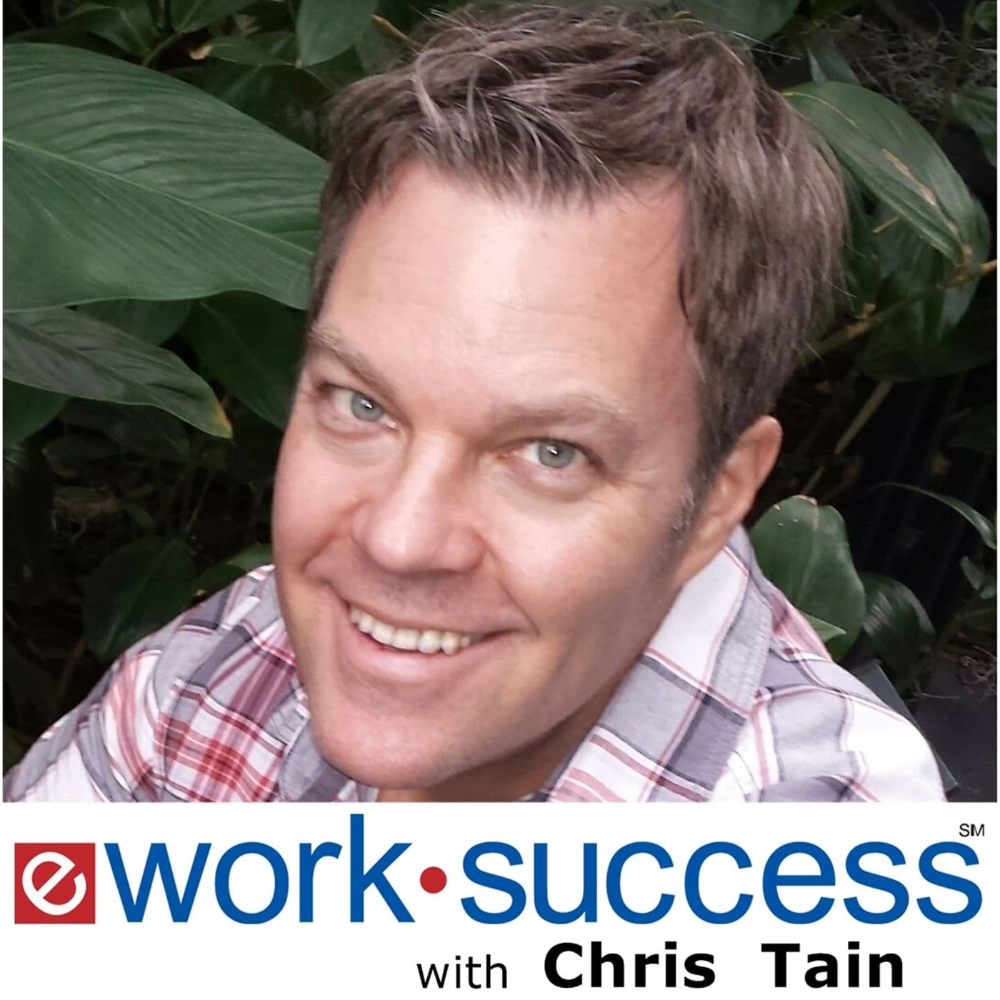 eWorkSuccess Podcast - Podcasts