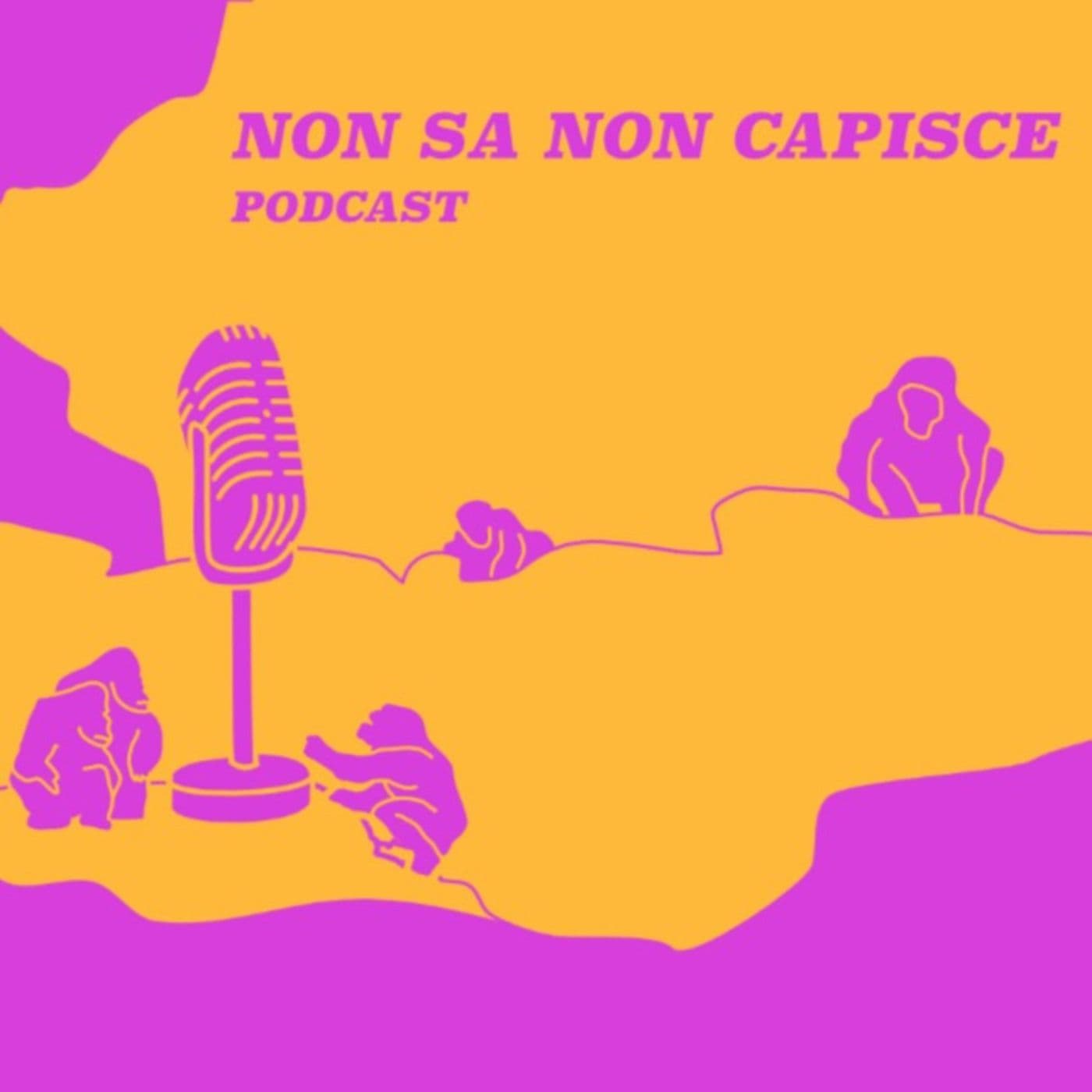 Non sa non capisce - Podcasts