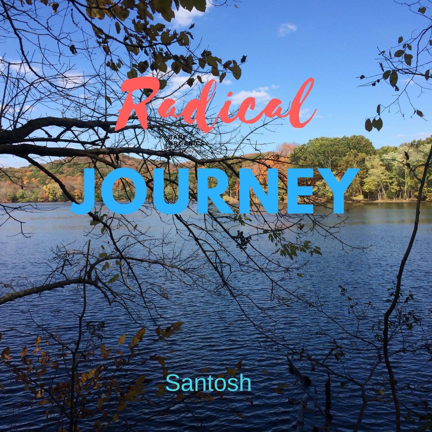 Radical Journey - Podcasts