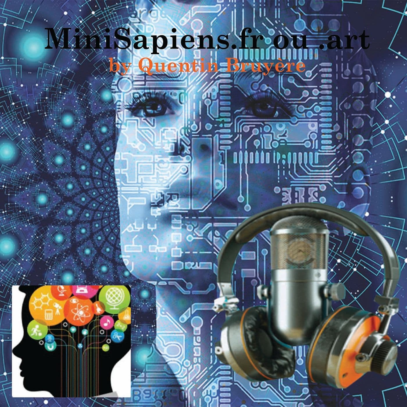 MiniSapiens Community Economy, Philosophy, Knowledge quentin bruyere - Podcasts