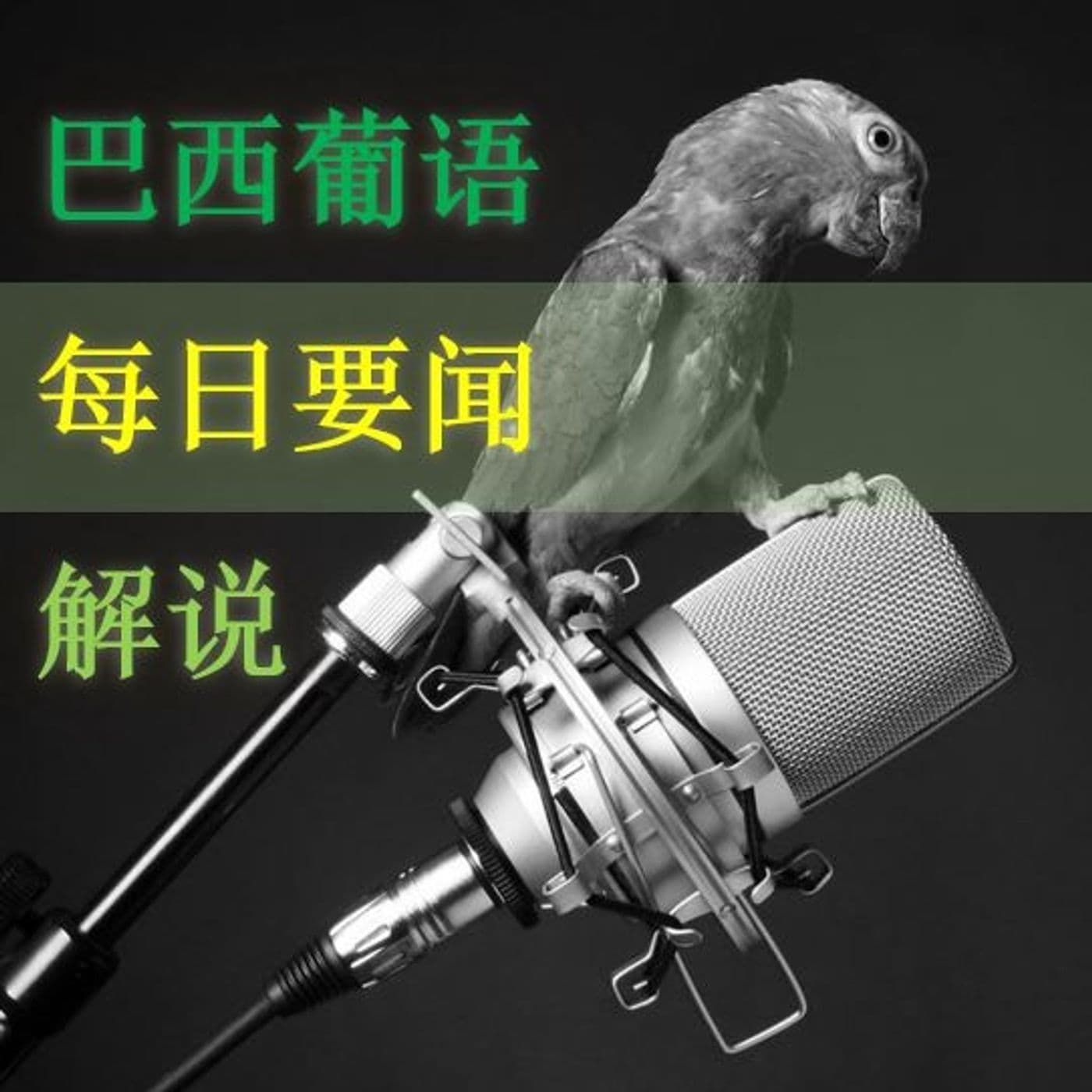 巴西葡语:每日要闻解说 - Podcasts