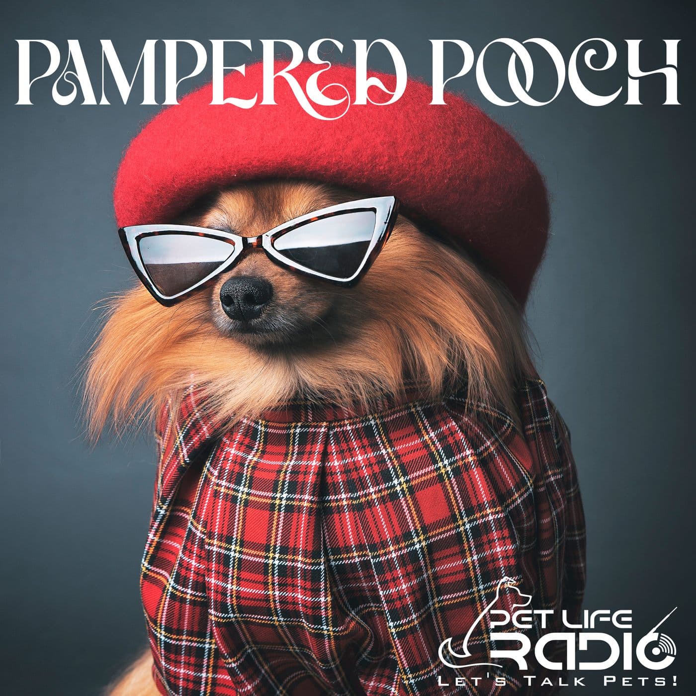 The Pampered Pooch - Pet Life Radio Original - Podcasts