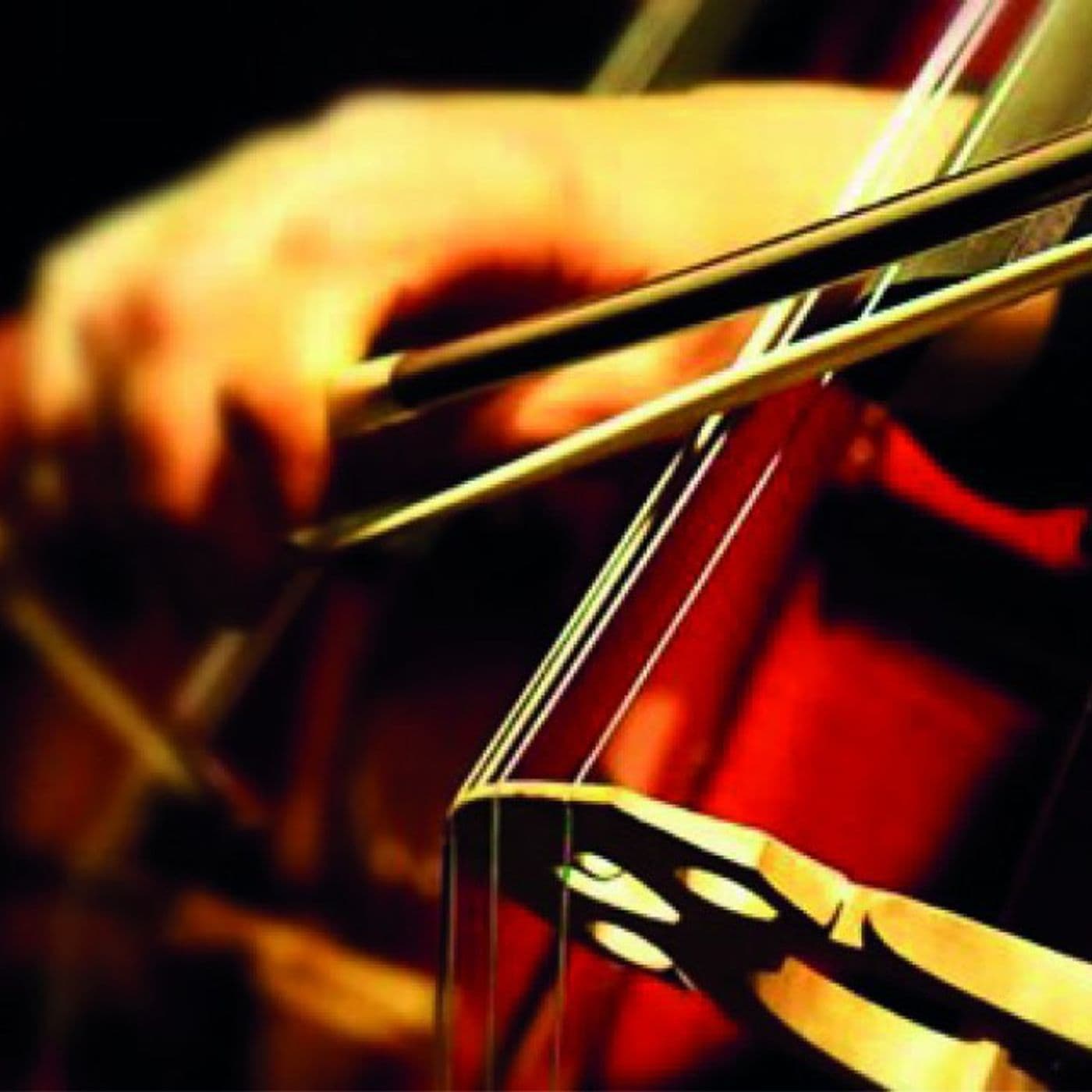 I concerti del mattino - Podcasts