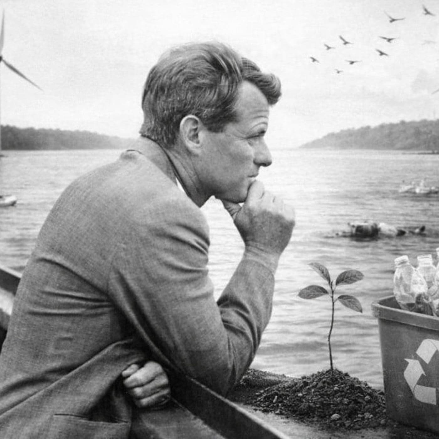 RFK - Scienze - Sostenibilità ambientale - Podcasts