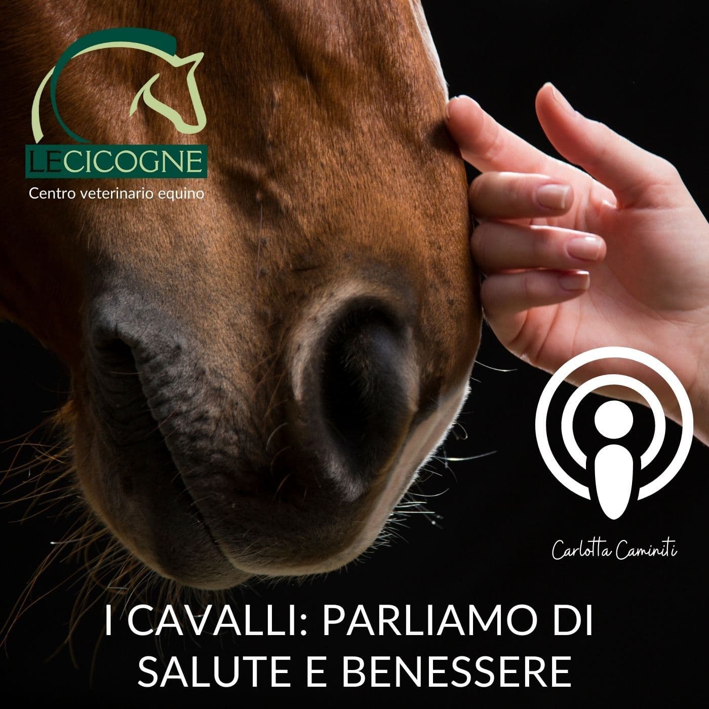 I cavalli: parliamo di salute e benessere - Podcasts