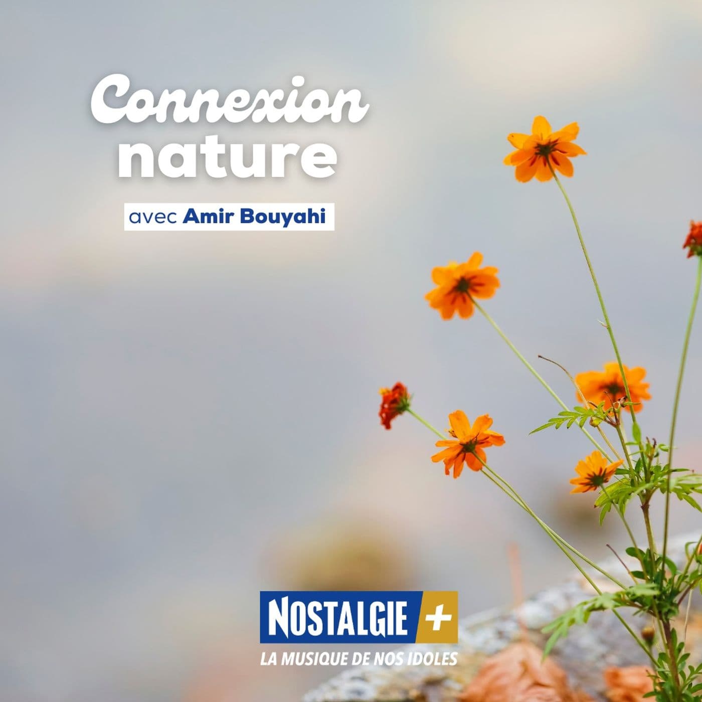 Connexion Nature - Podcasts