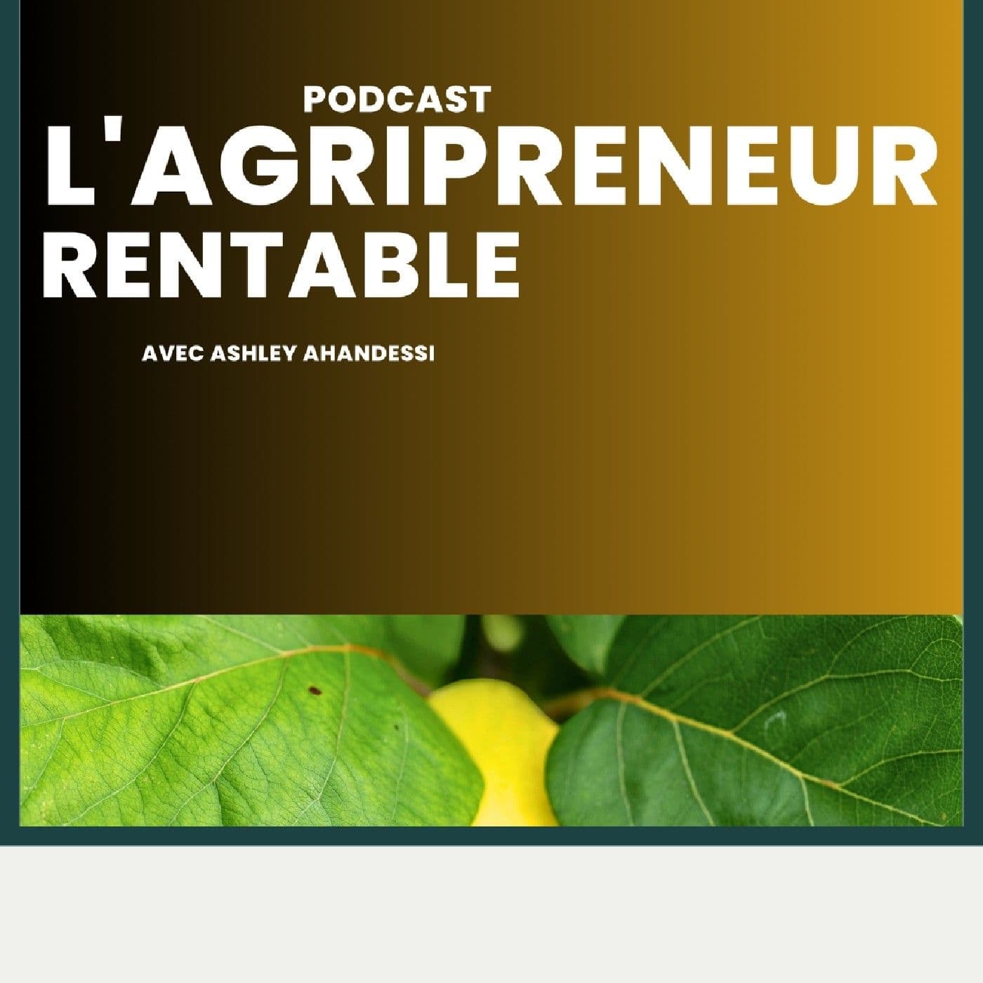L'Agripreneur Africain Rentable - Podcasts