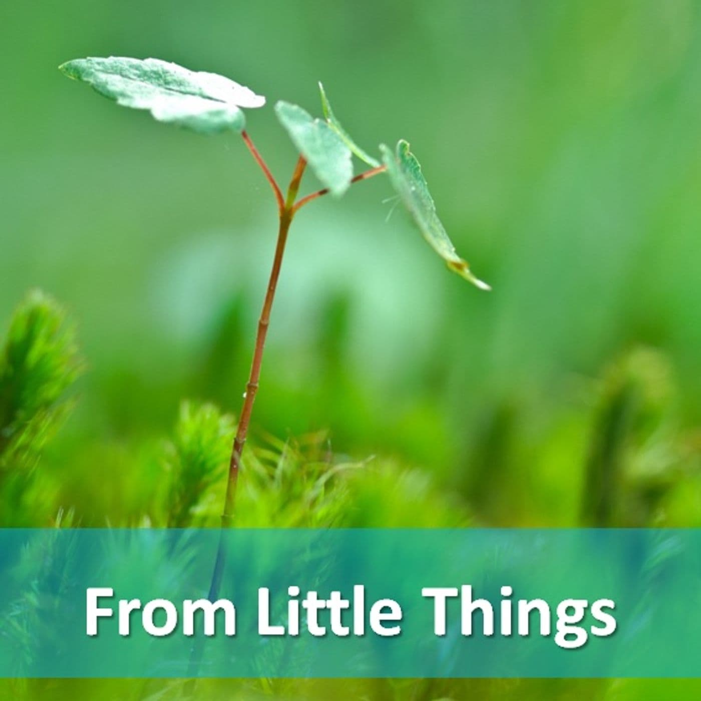 From Little Things - Podcasts