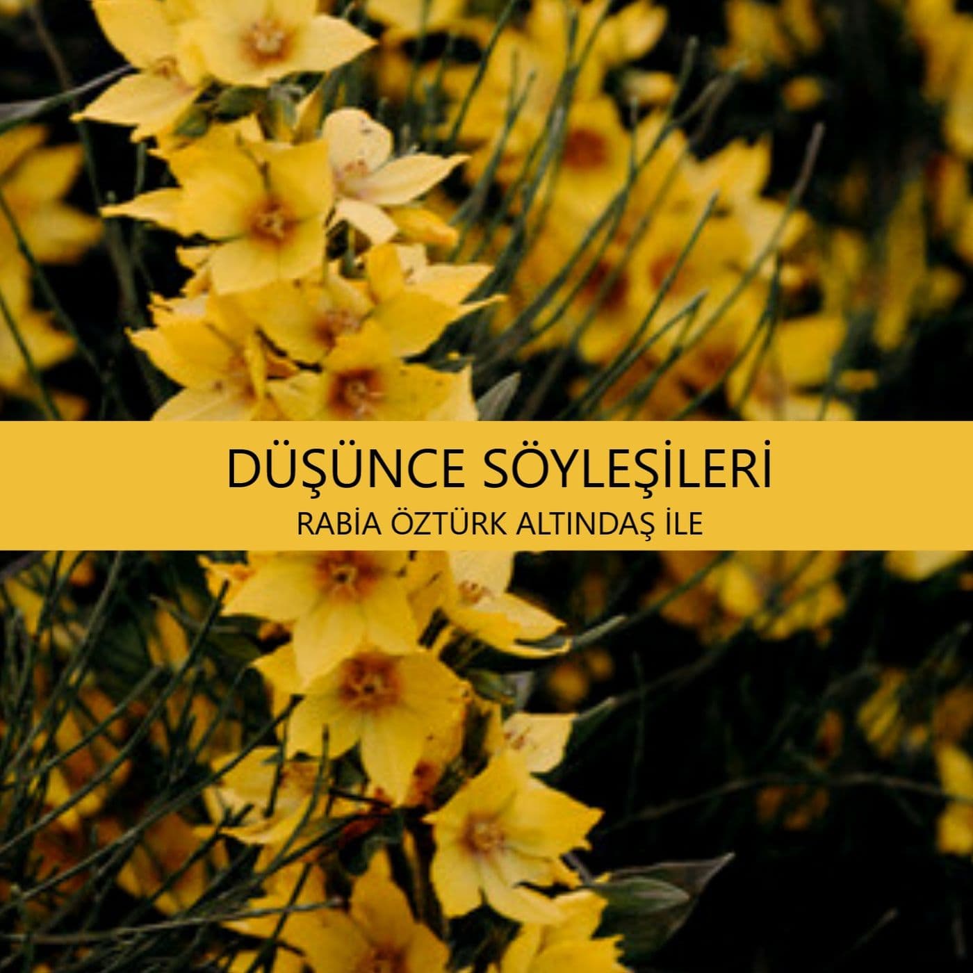 Düşünce Söyleşileri - Podcasts