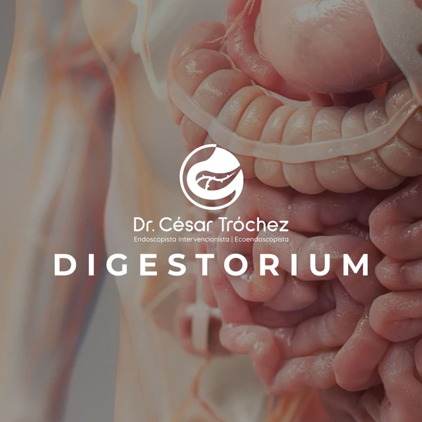 Digestorium - Podcasts