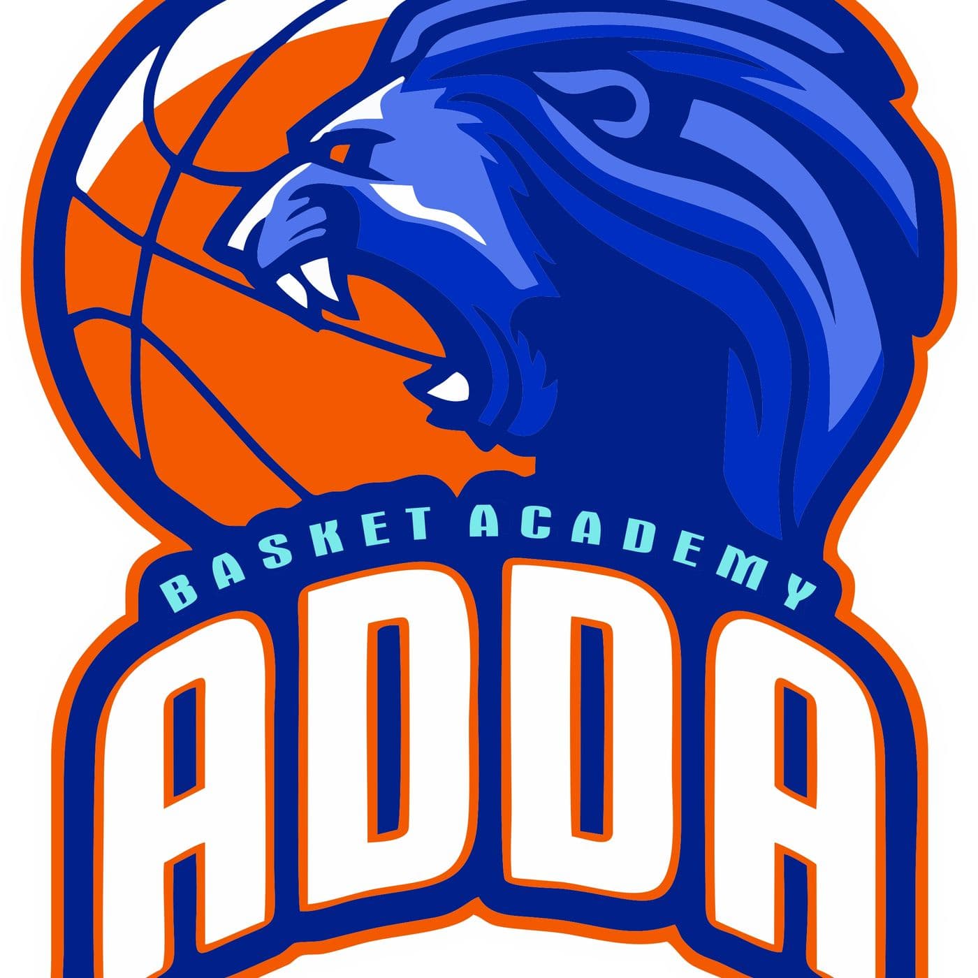 Basket Academy Podcast - Podcasts