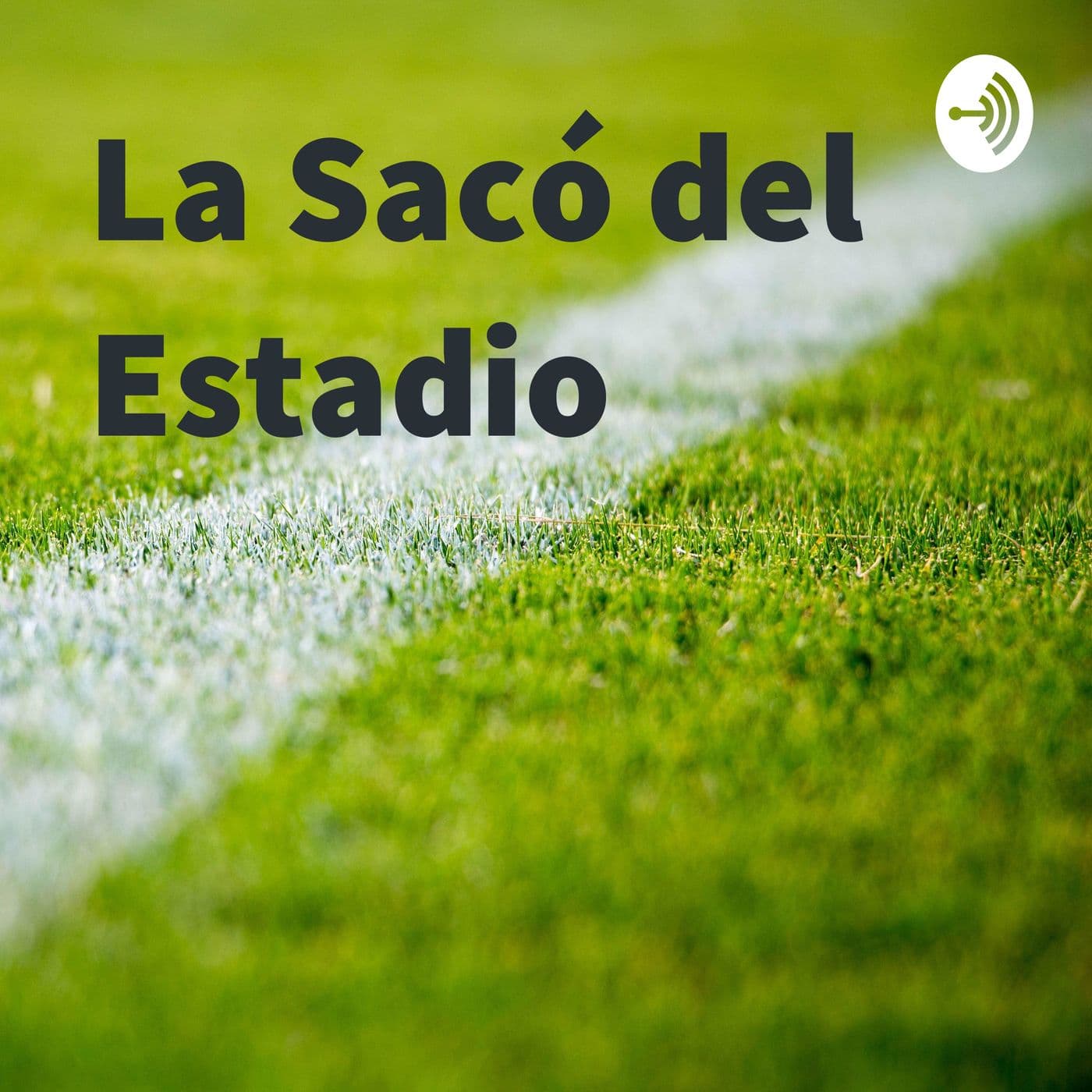 La Sacó del Estadio en MundoNet Radio - Podcasts