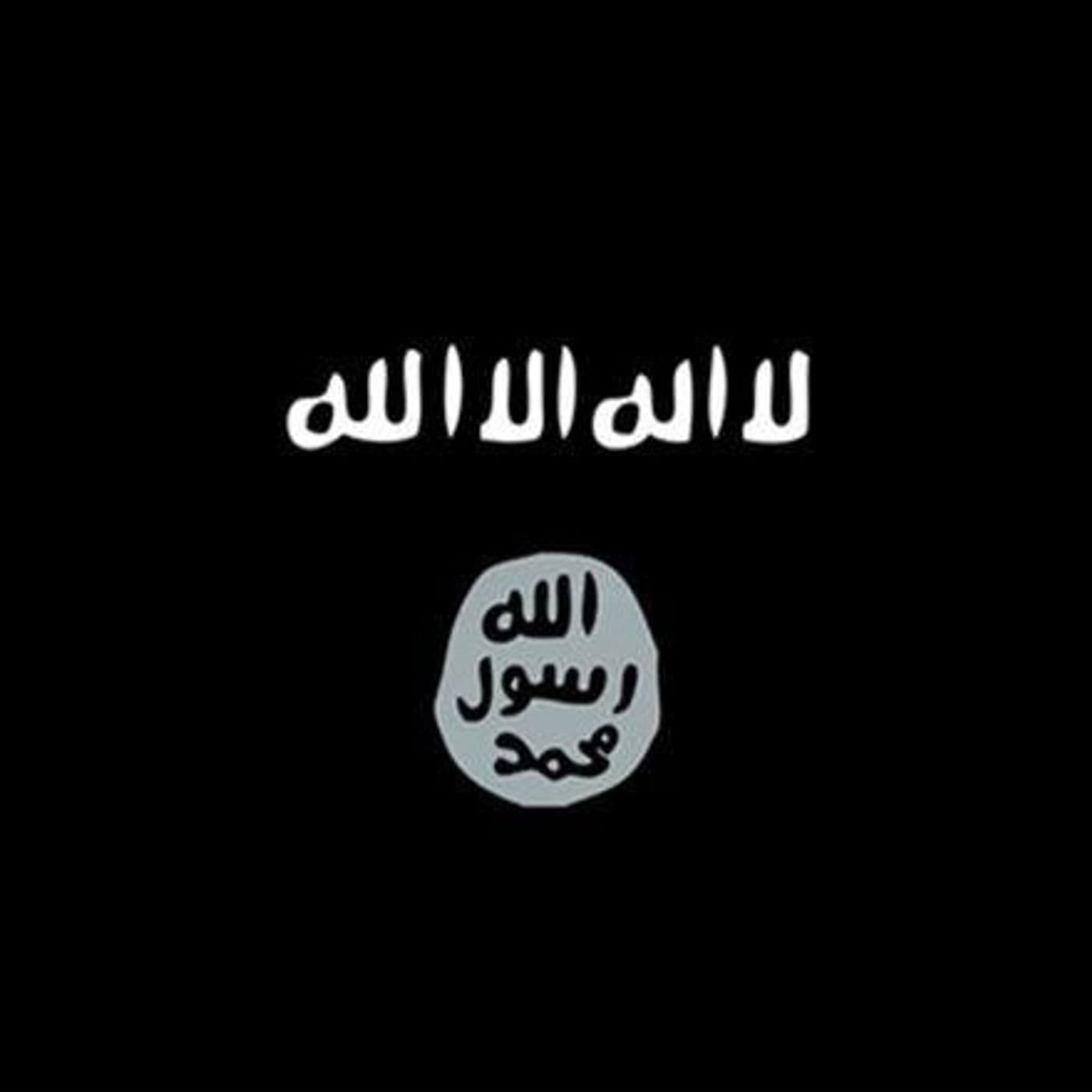 مشروع الحرب على الحركى - Podcasts