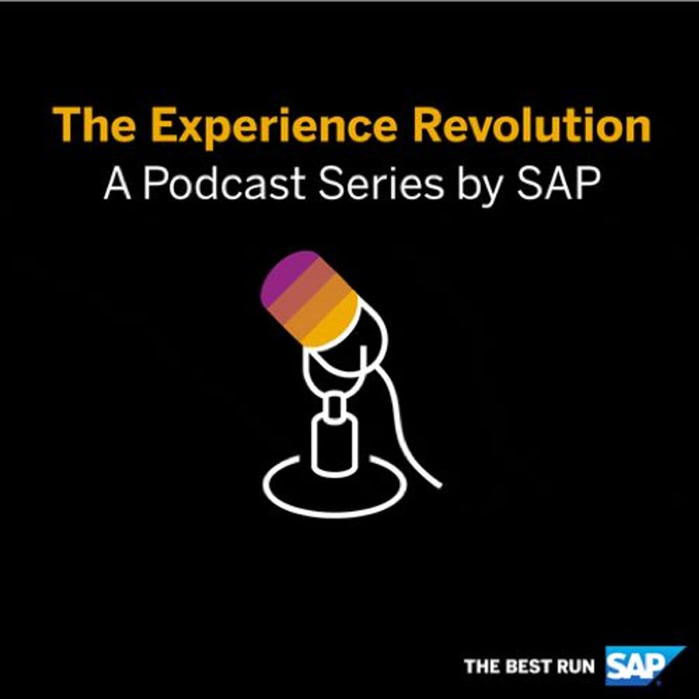 The Experience Revolution - Podcasts