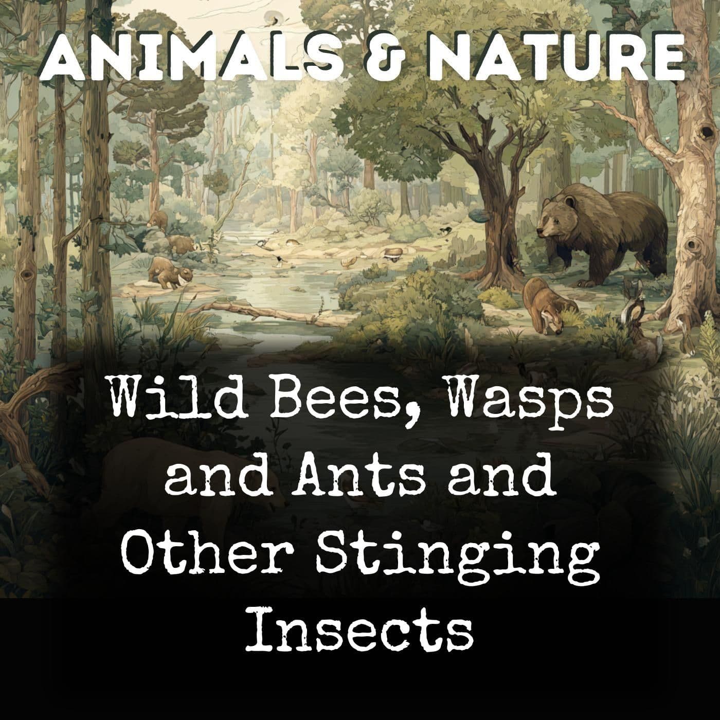 Wild Bees, Wasps and Ants and Other Stinging Insects