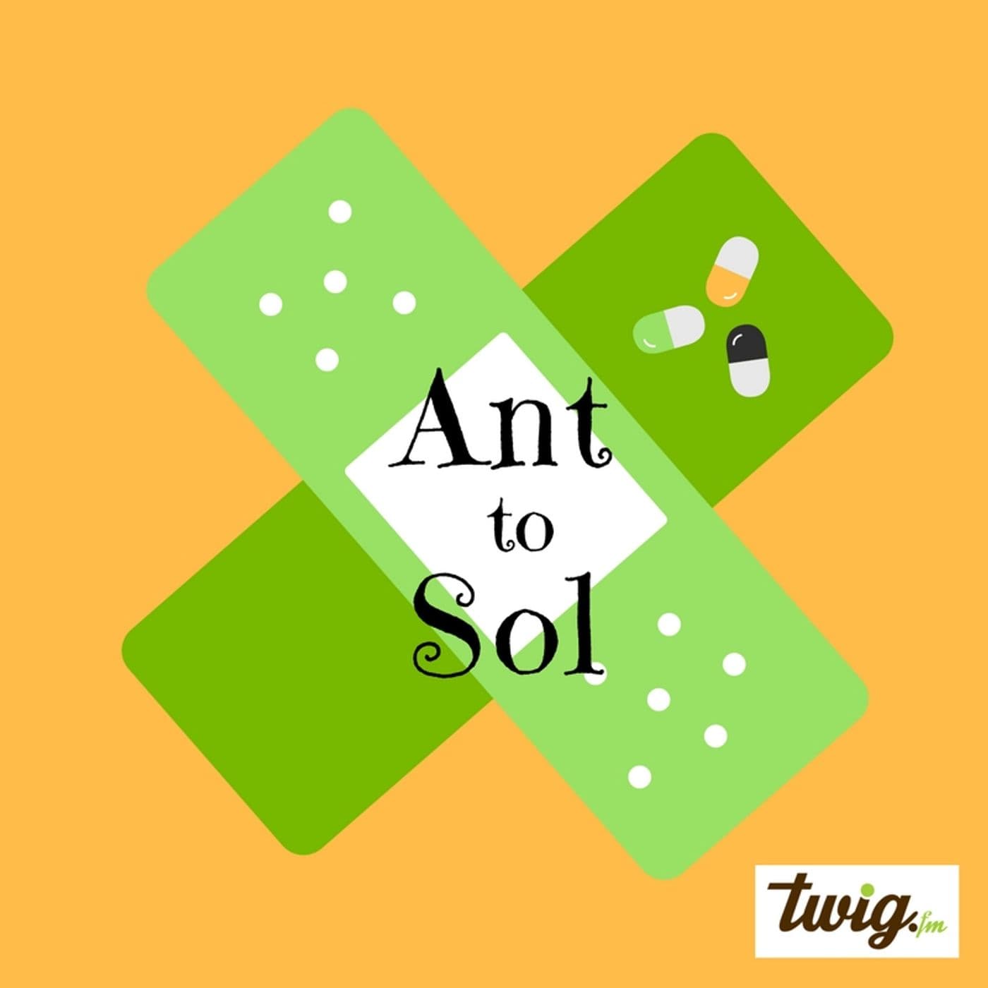 Ant to Sol