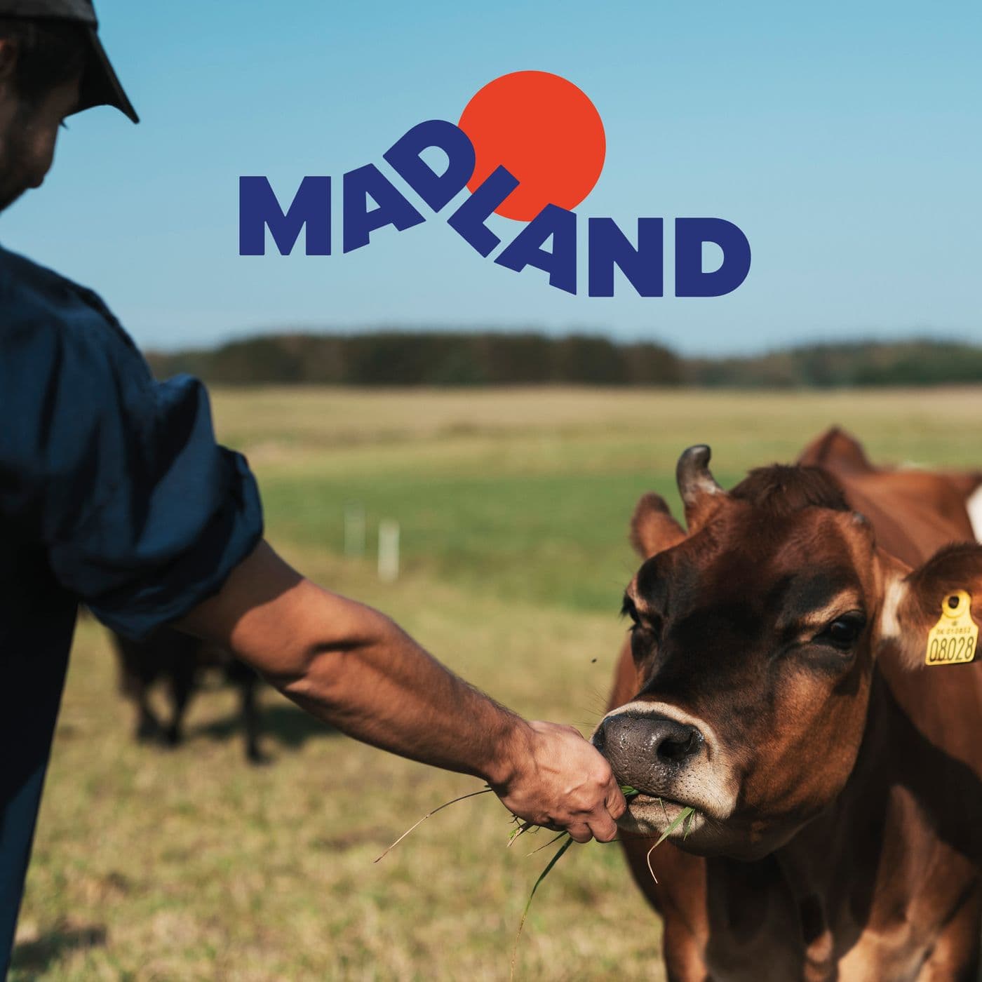 Madland Podcast - Podcasts